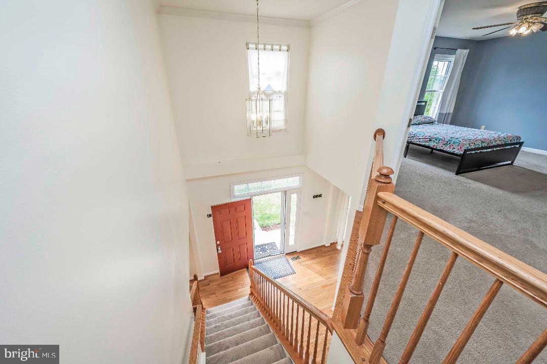 BRAEMAR-TARTAN VILLAGE - Residential