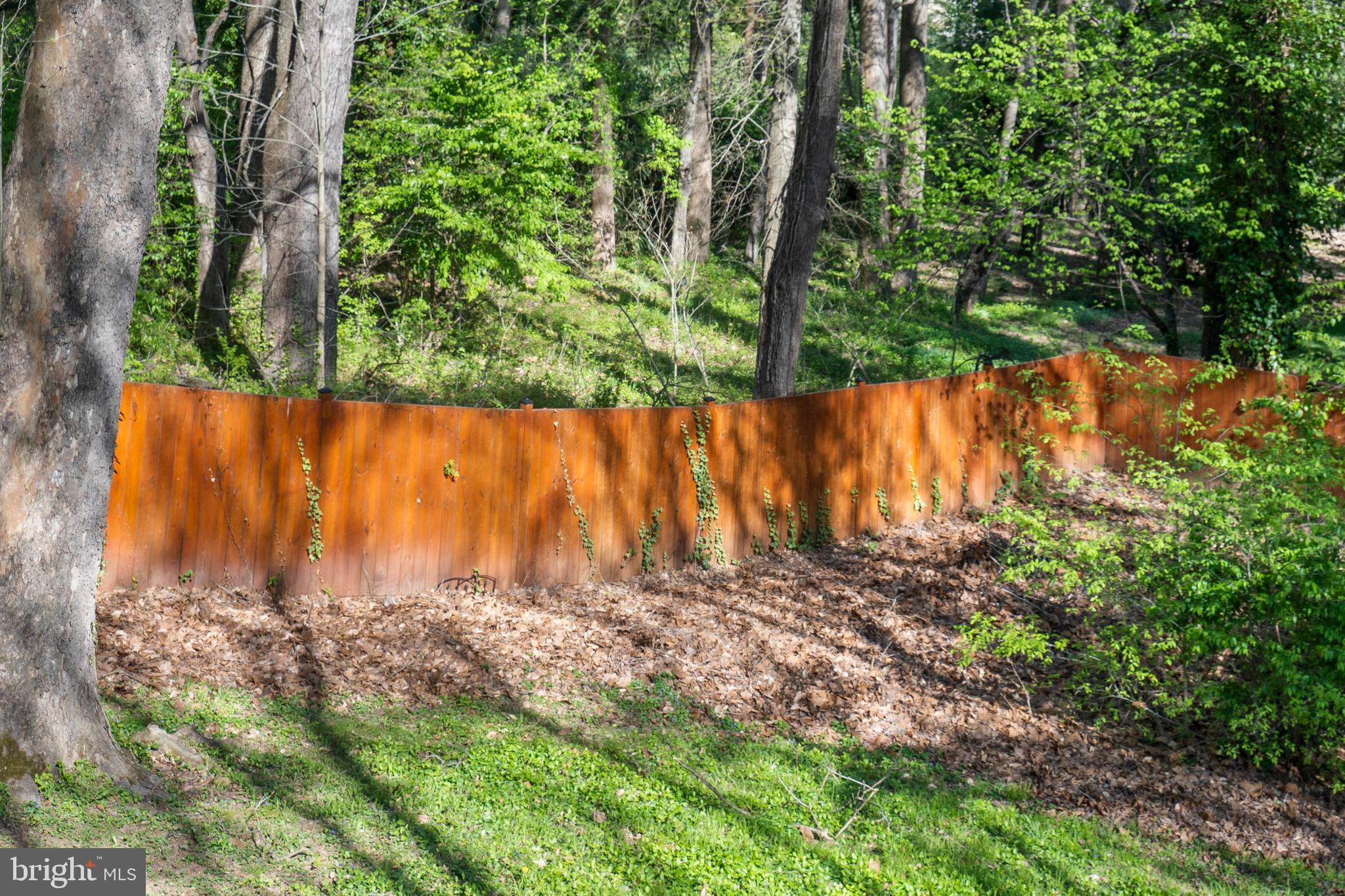 CHESTERBROOK WOODS - Residential Lease