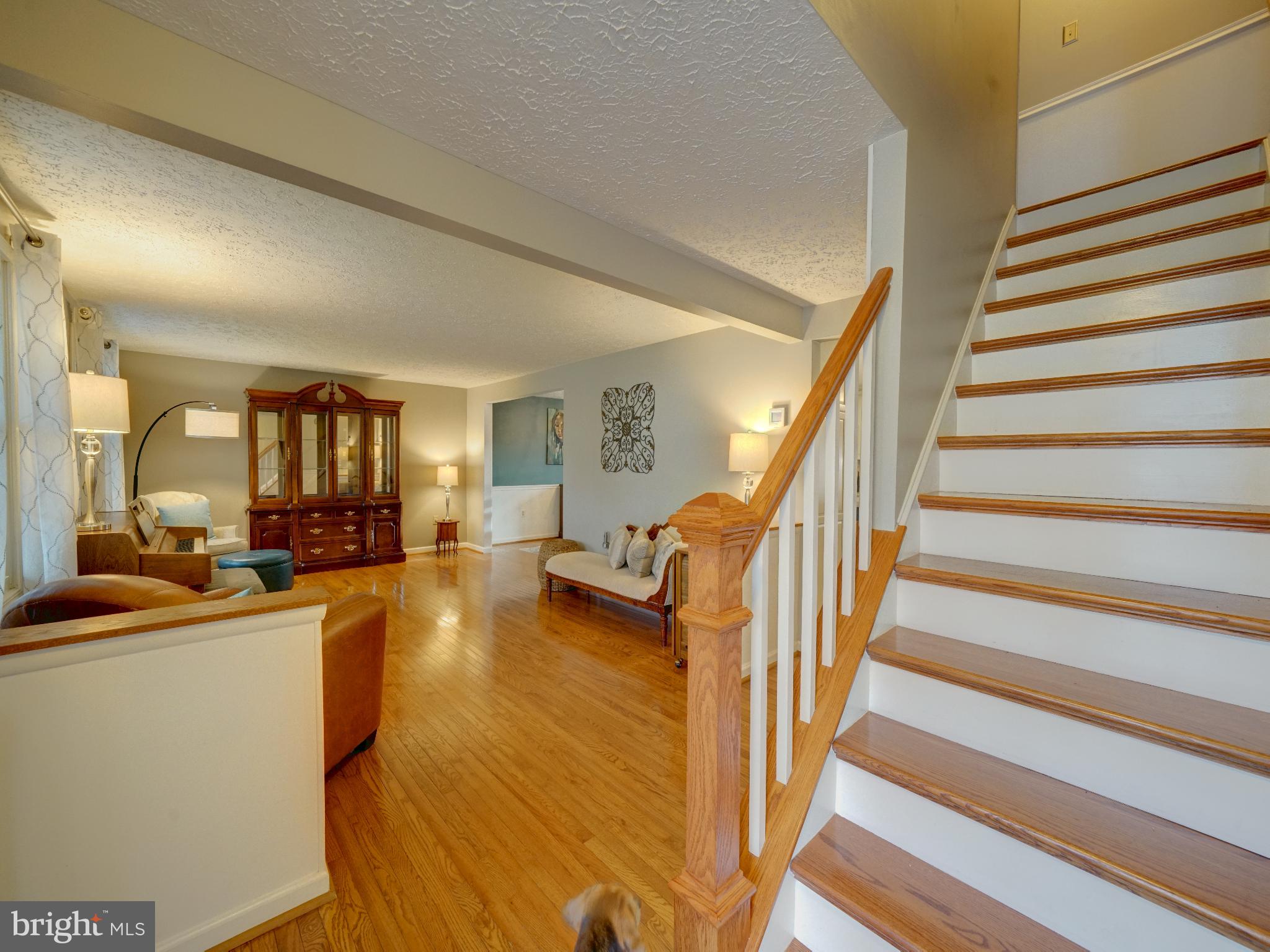 CARDINAL FOREST - Residential