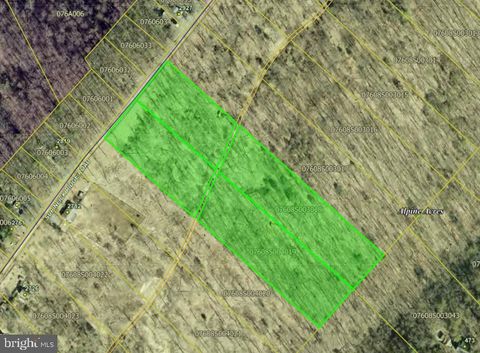 Lots 3018 & 4019 SUPINLICK RIDGE RD MOUNT JACKSON VA 22842