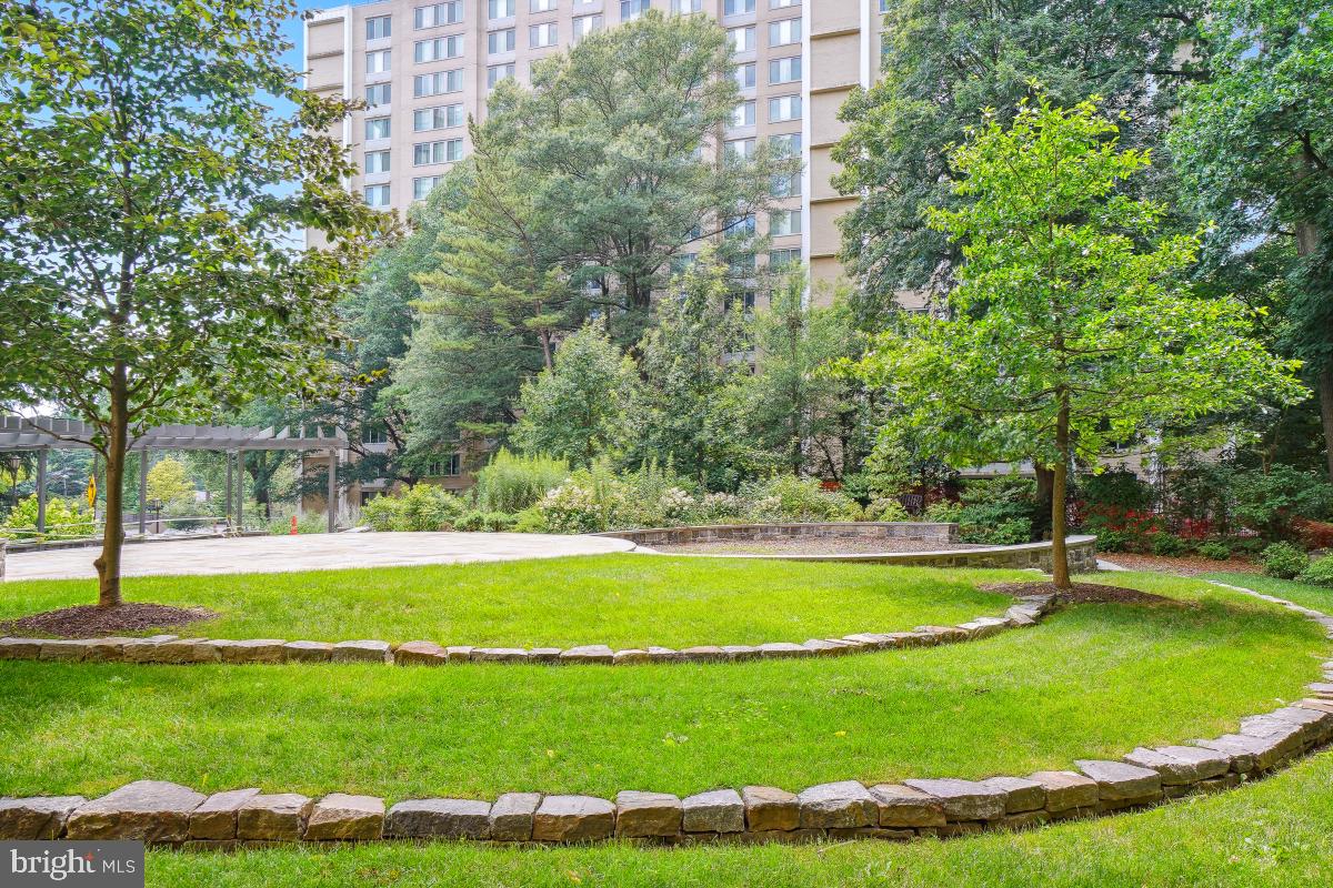 FRIENDSHIP HEIGHTS - Residential