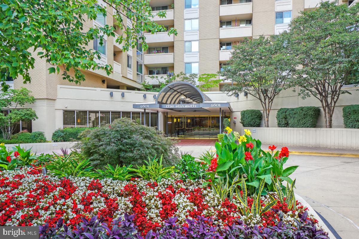 FRIENDSHIP HEIGHTS - Residential