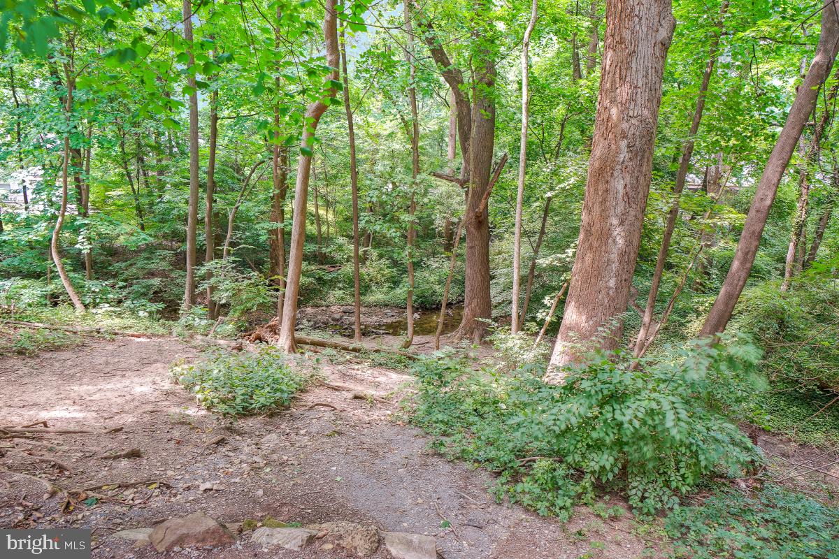 FRIENDSHIP HEIGHTS - Residential