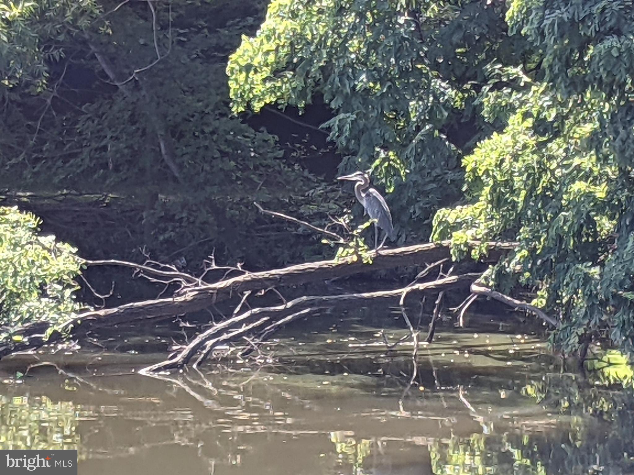 FLOWER HILL - Residential