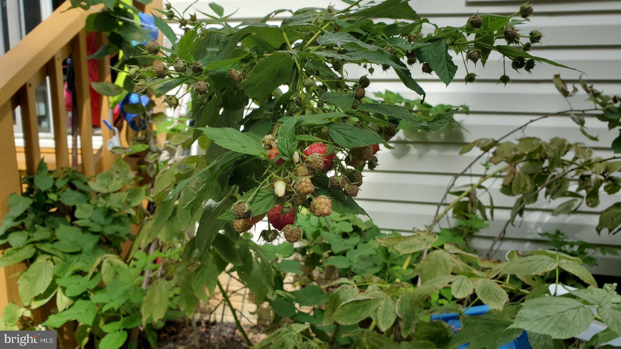 FLOWER HILL - Residential
