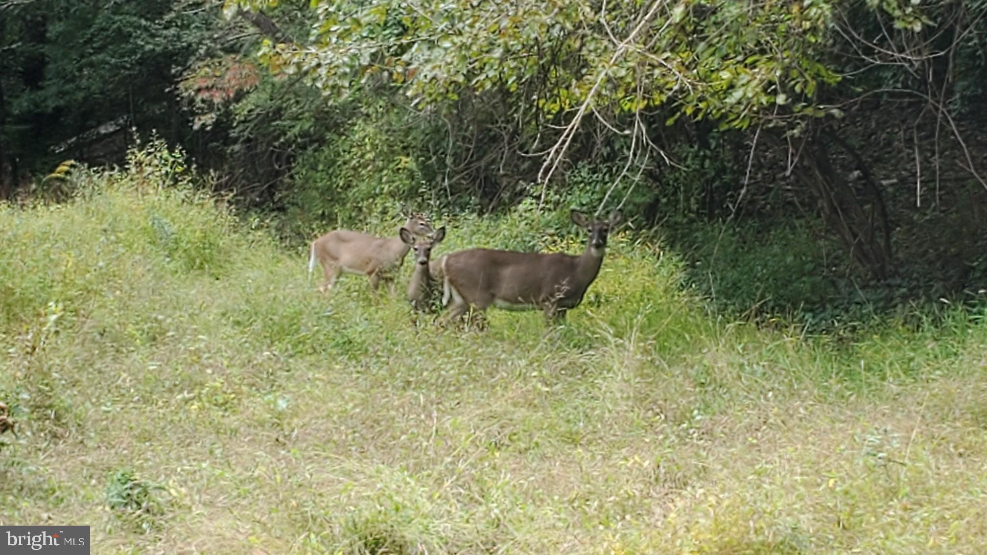 FLOWER HILL - Residential