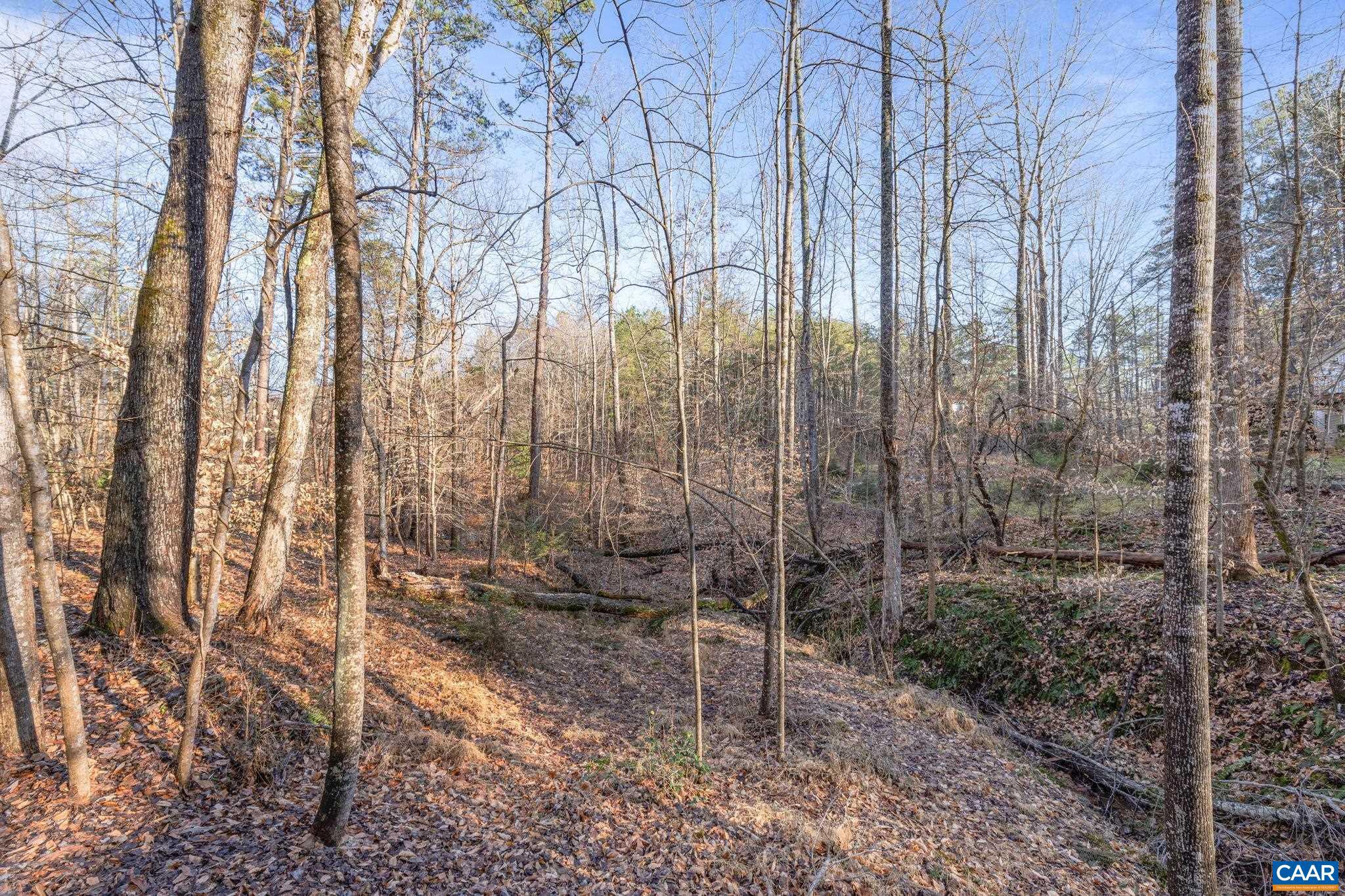 LAKE MONTICELLO - Residential