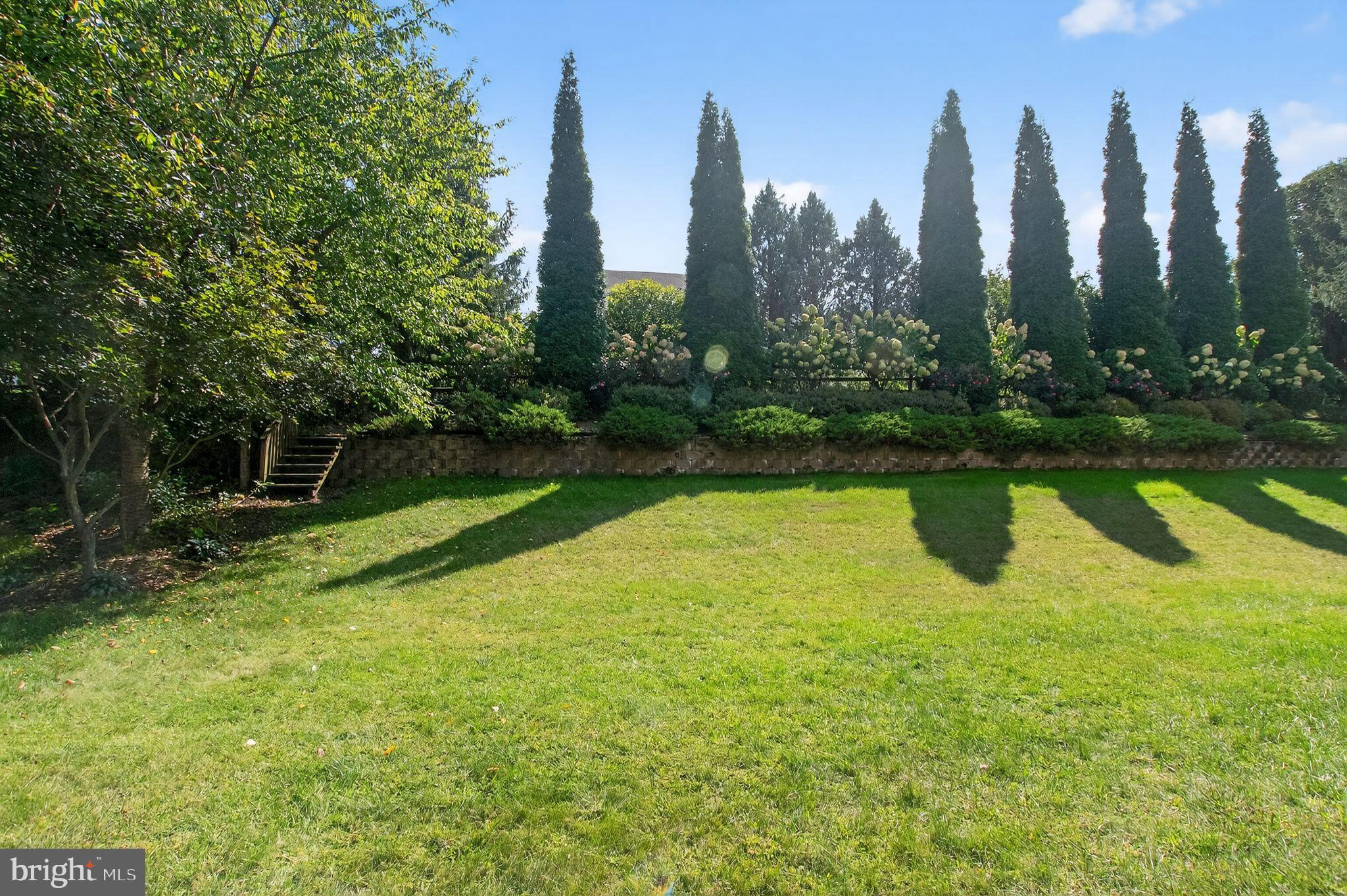 MEADOWS AT VALLEYFRG - Residential