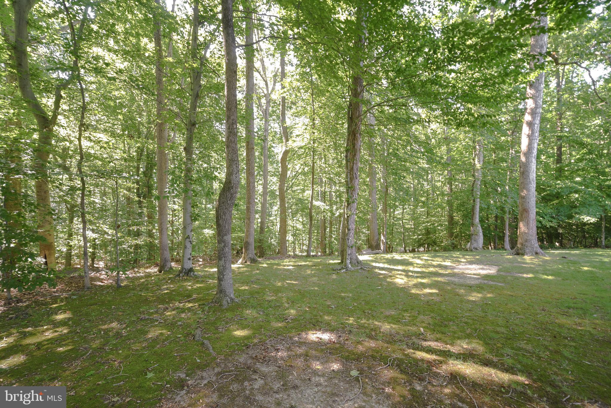 LAUREL BRANCH - Residential