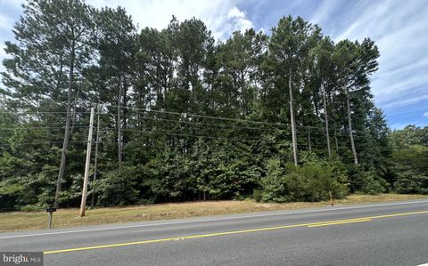 Vacant Land For Sale - Md Rt 313 Rd<br/> MARDELA SPRINGS, MD 21837