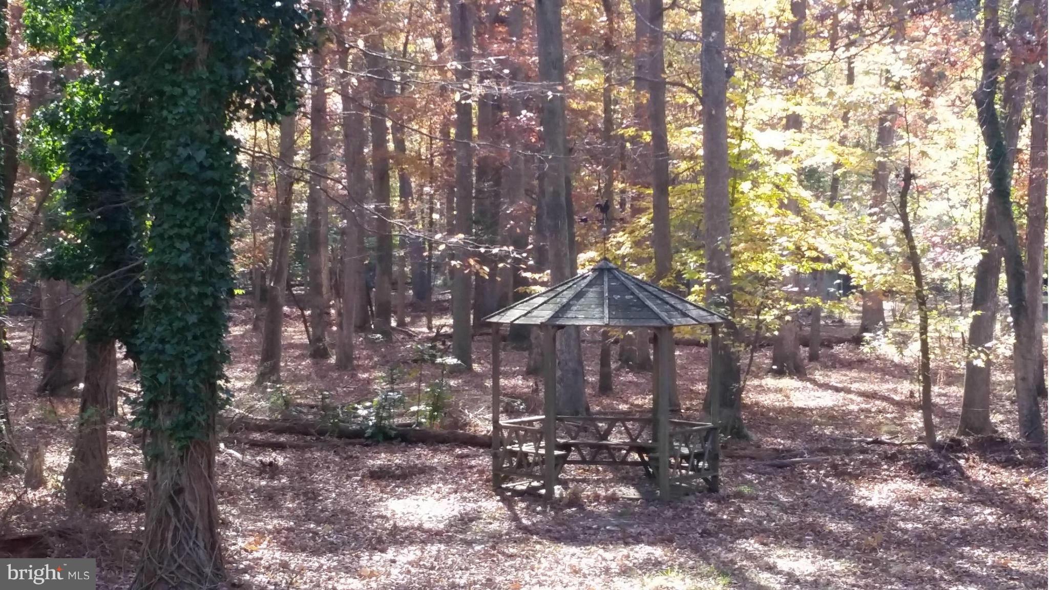 BILLINGSLEY FOREST - Residential