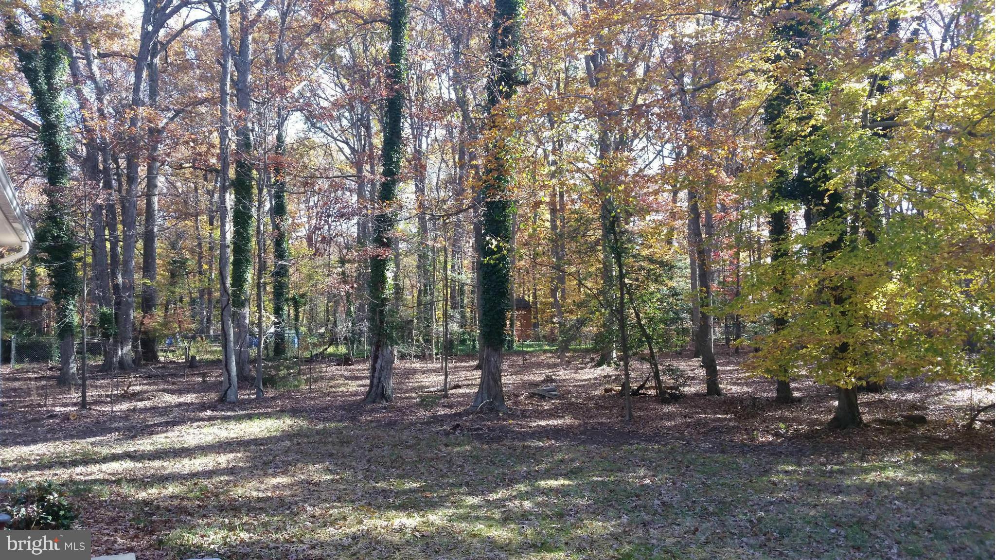 BILLINGSLEY FOREST - Residential