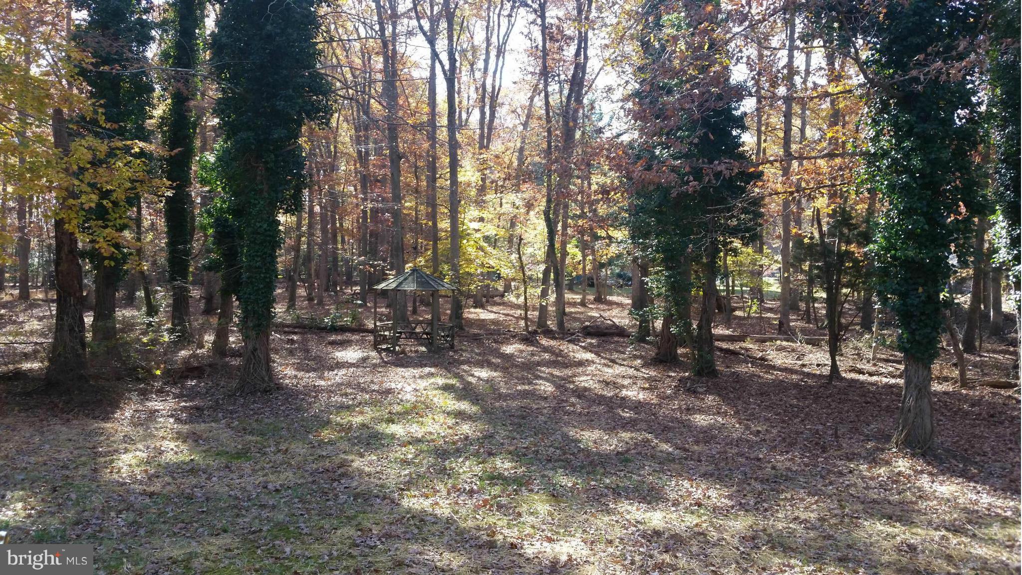 BILLINGSLEY FOREST - Residential