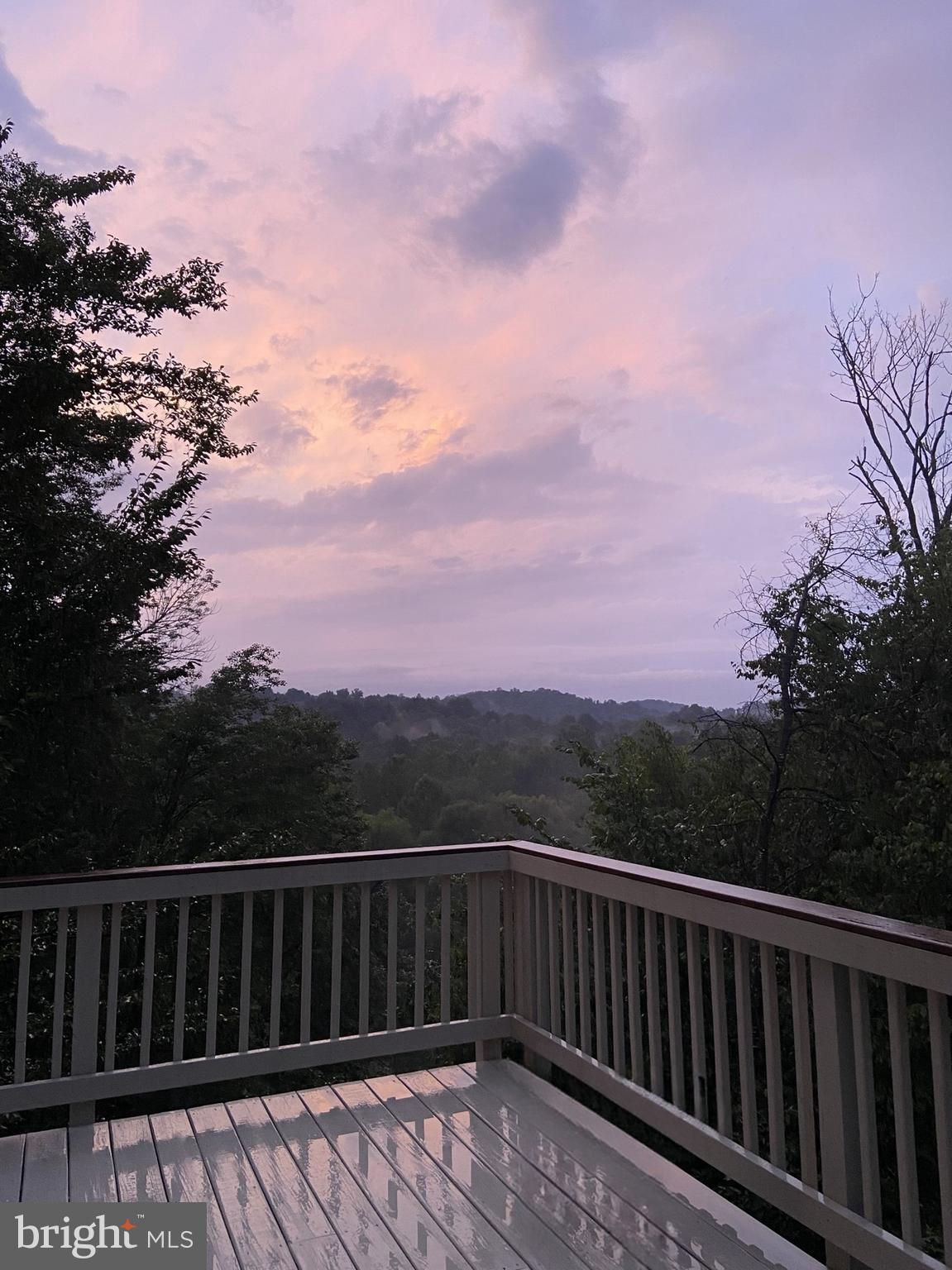 10807 FOREST EDGE PLACE