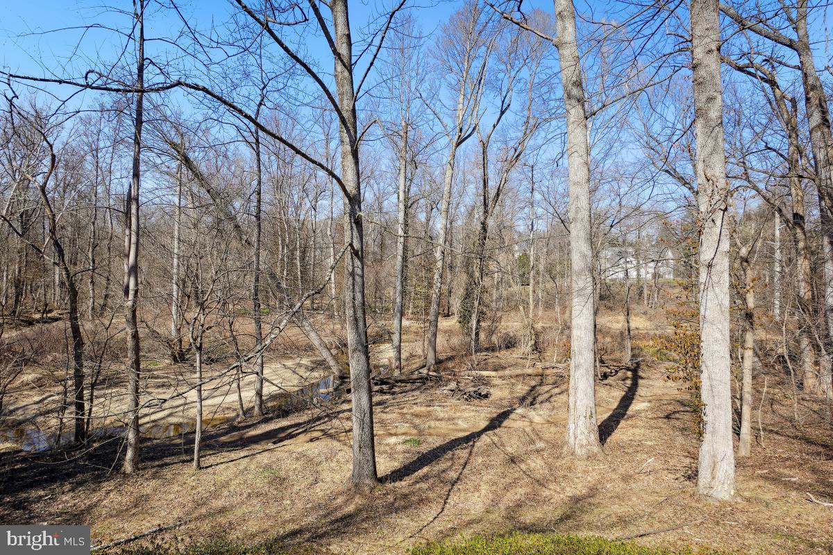 FOREST VILLA WOODS - Residential