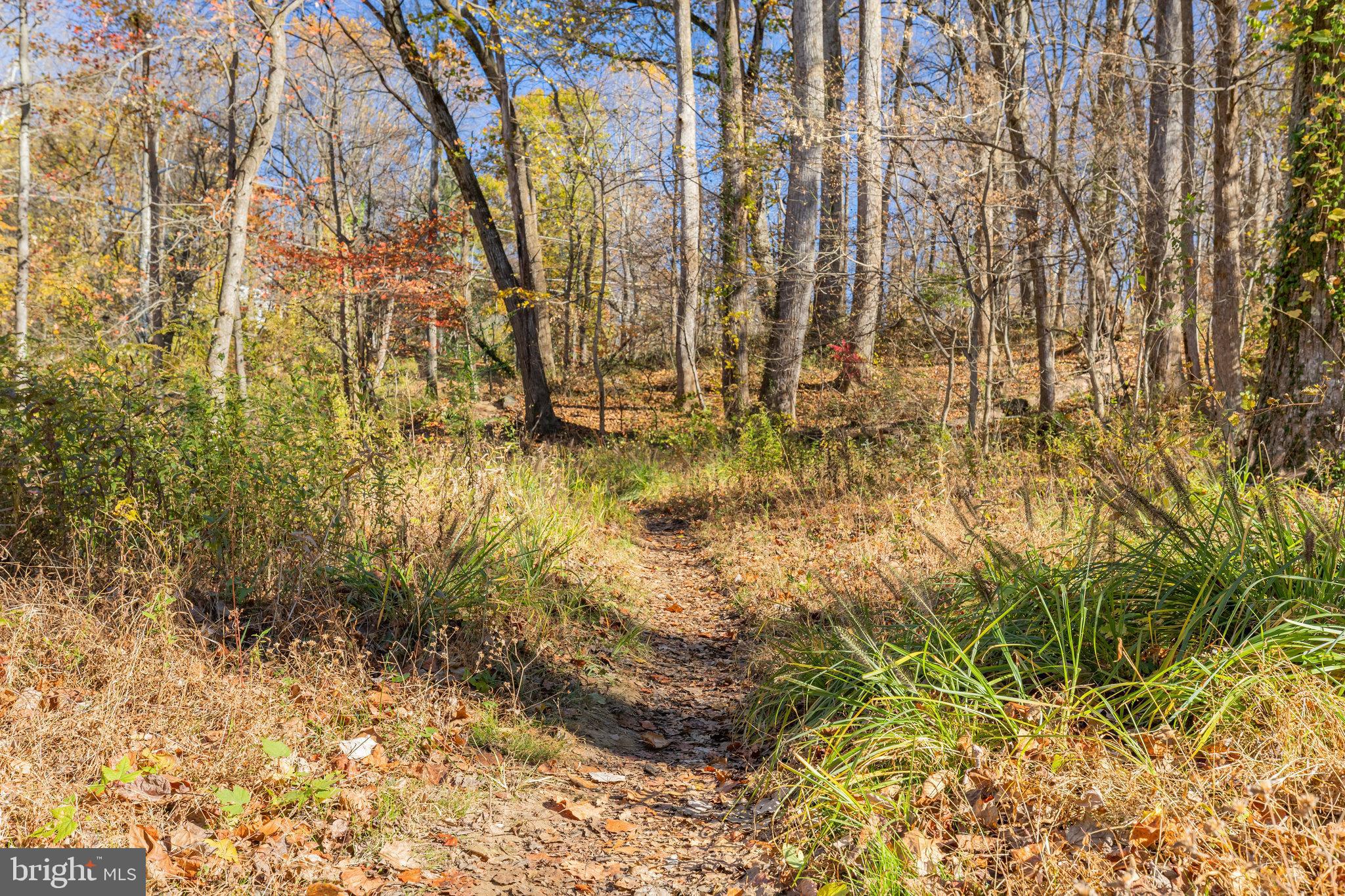 FOREST VILLA WOODS - Residential
