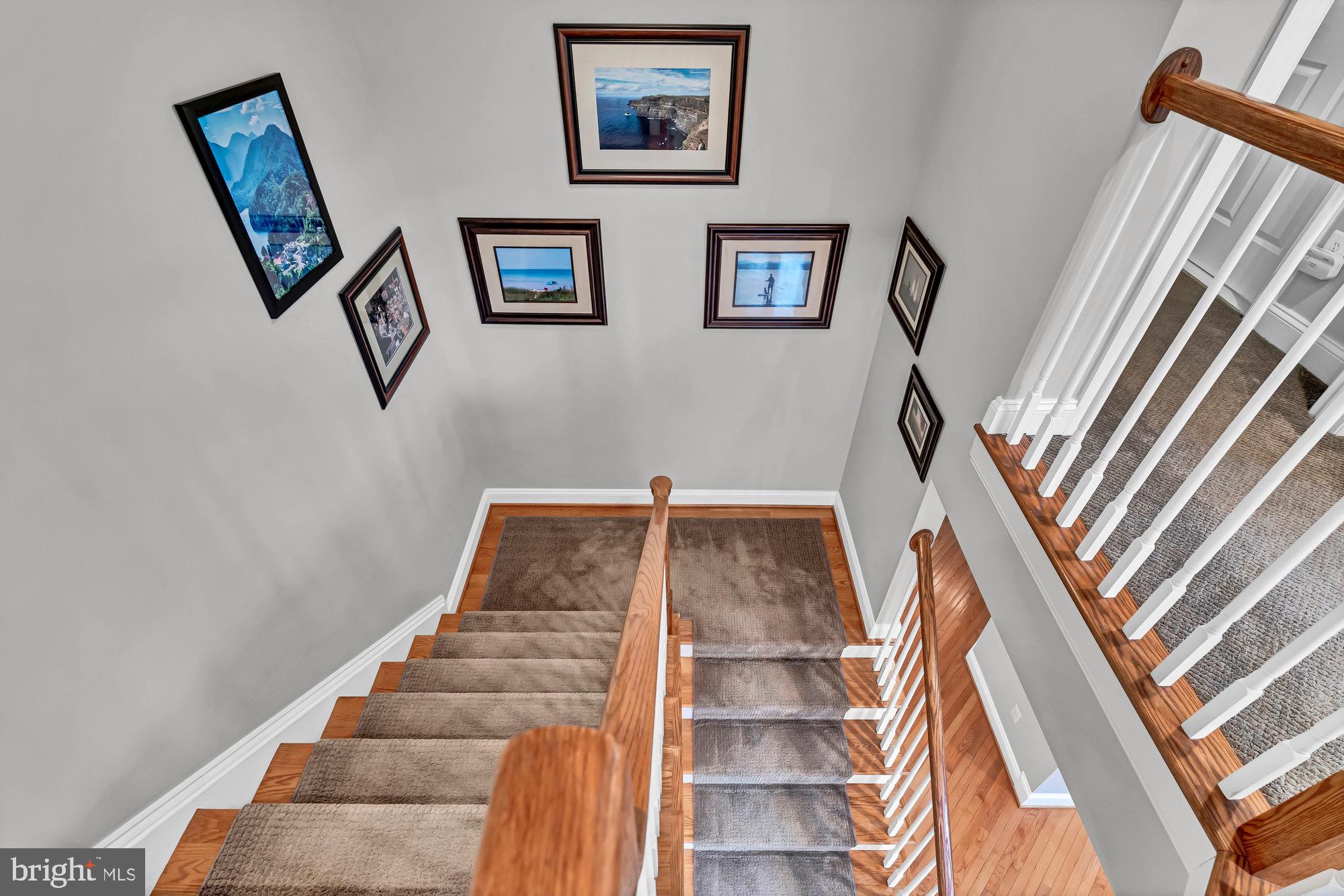 VIENNA WOODS - Residential