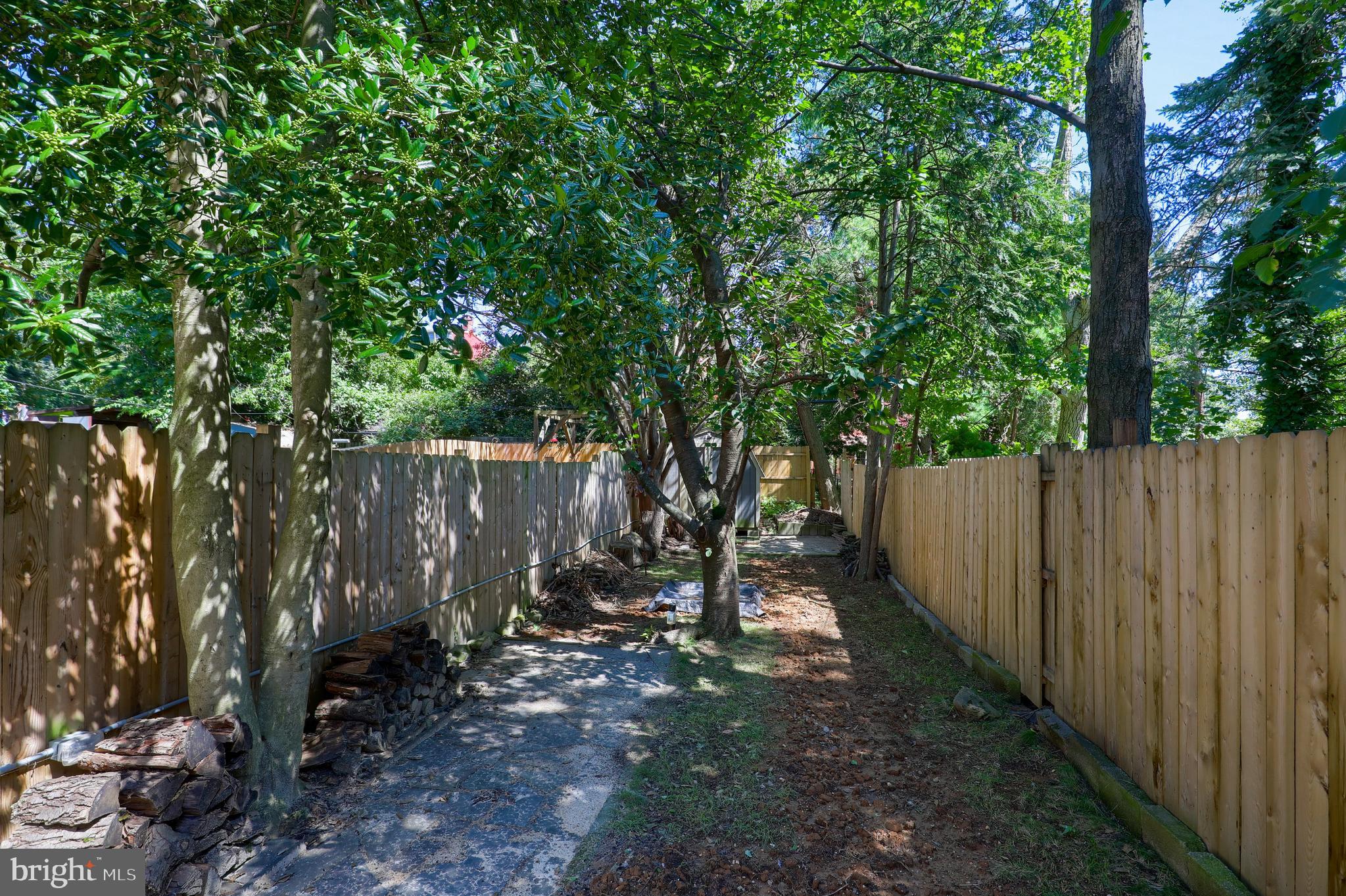 CHESTNUT HILL - Residential