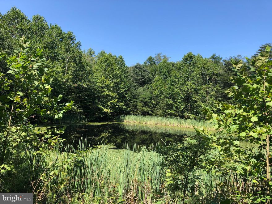 72+/- Acres of beautiful privacy.  Remote, yet only 11 minutes to the local grocery store.  Mostly wooded with creek and pond.  Hunters paradise with deer, bear, turkey.  Small hunting cabin with woodstove.  ATV / Hiking trails snake through this off the grid paradise.  Disappear off the grid to hunt, fish camp and relax... Or build your private dream estate.