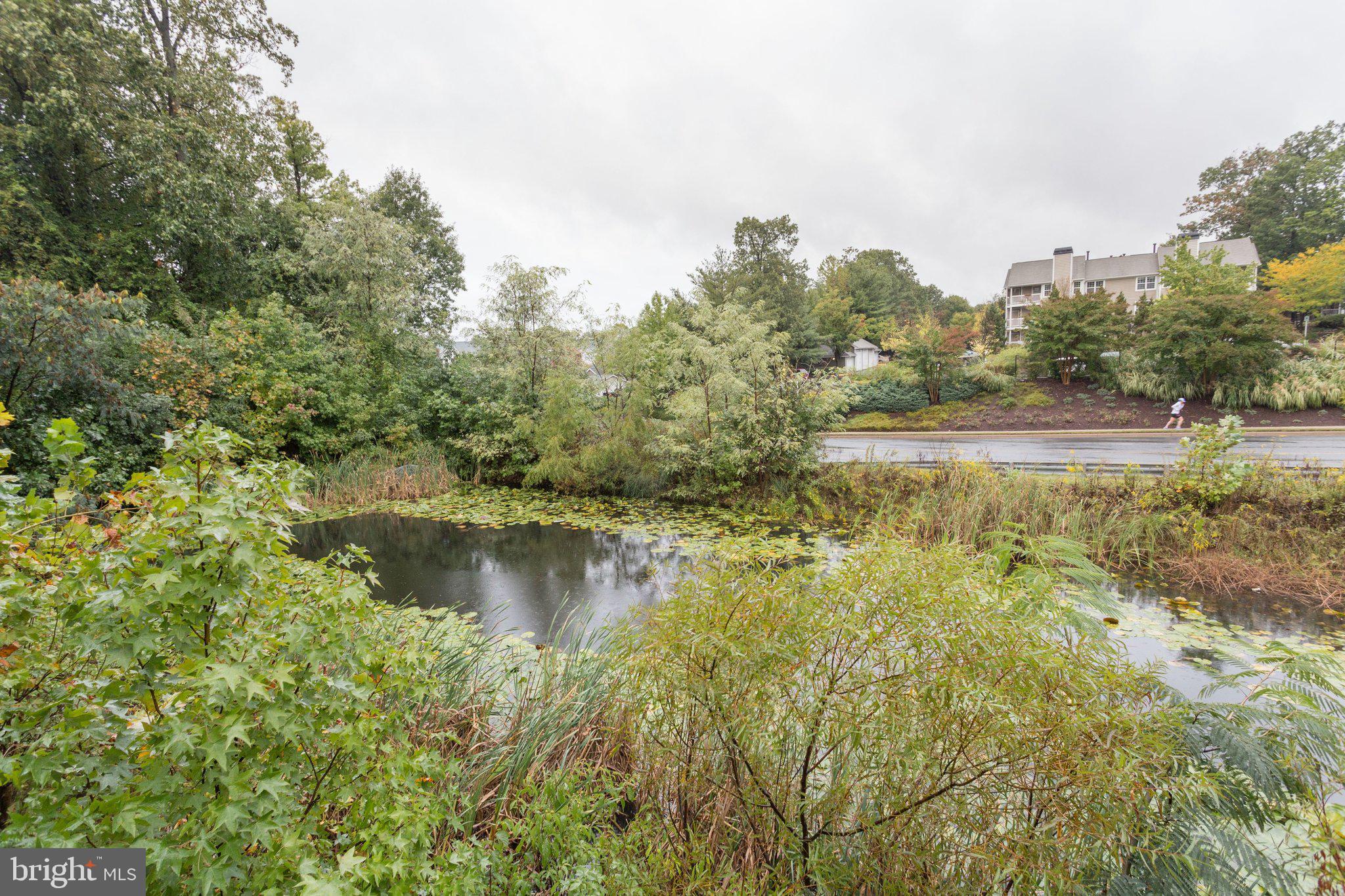 LEGATO CORNER - Residential