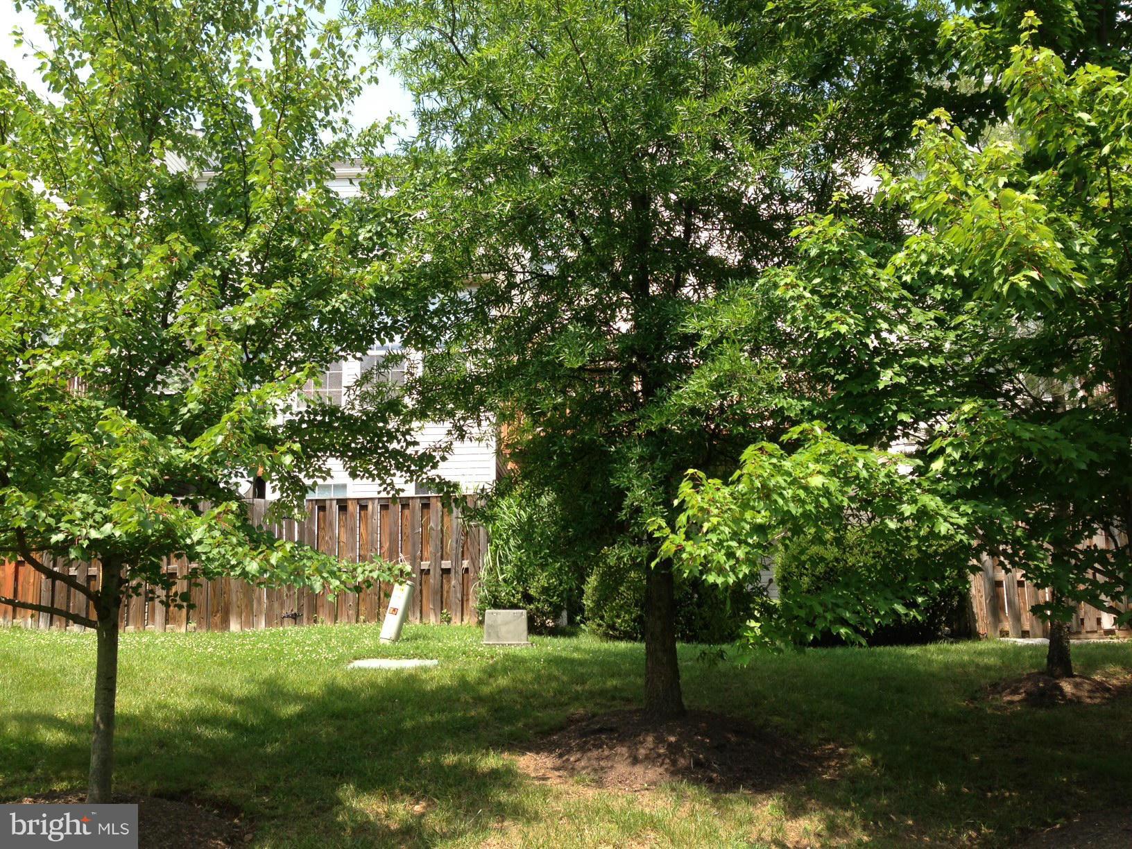 WELLESLEY - Residential Lease