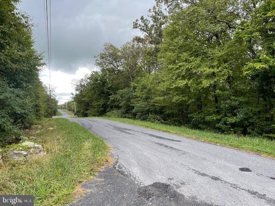 This corner lot in Shawneeland,  a residential community nestled against the backdrop of Great North Mountain. northwestern Frederick County, Virginia, offers the opportunity to return to nature and revel in your privacy.  Build your getaway home or consider moving here permanently.  Enjoy swimming or fishing in the community's spring -fed lake, take the children to the playground, or bring together the family for a long, invigorating hike. 
Shawneeland is only 12 miles from Winchester and its many amenities. Find a large regional medical center there, lots of shopping, restaurants, wineries, breweries, and museums, as well as hiking and biking paths. Winchester, a Tree City USA, is also home to the Shenandoah Apple Blossom festival, a crowd-pleasing week-long party celebrating its 98th year in May 2025.
Shawneeland is located in a Sanitary District. Fee is 190.00 per year for unimproved lots.