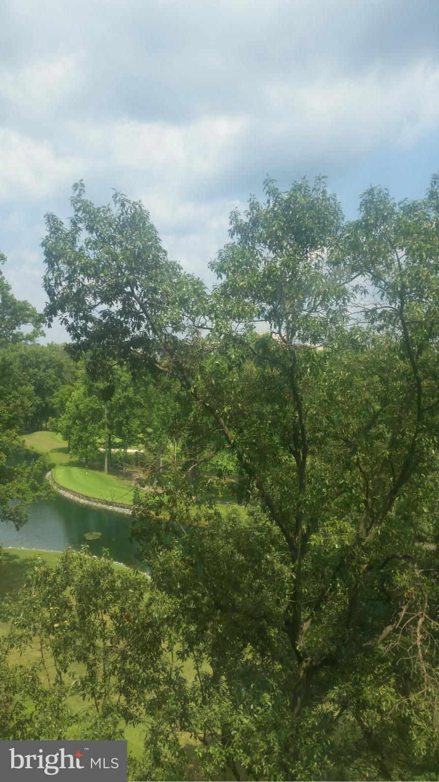 GREENS AT LEISURE WORLD - Residential