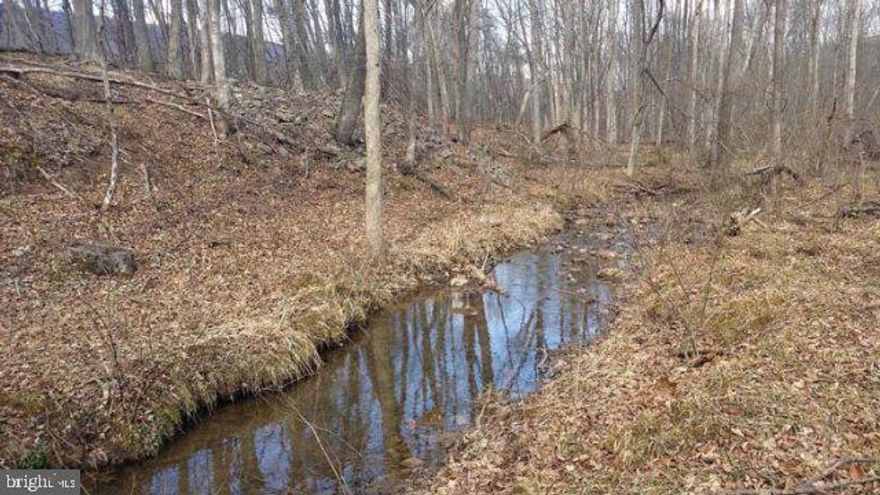 Total wooded 2.5 acre lot, ready to build dream home or cabin. Great location in rural central PA. Property includes flowing stream & mountain backdrop. Builder of buyer's choice. Call for your private tour today!,No Singlewides