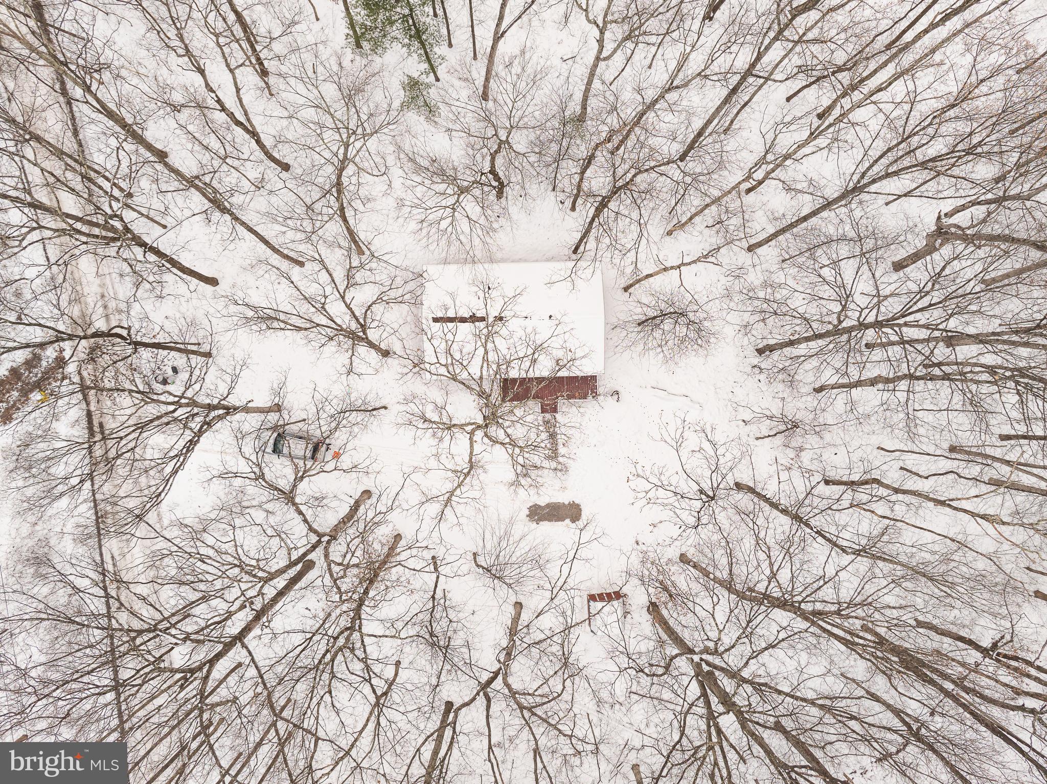 GLENWOOD FOREST - Residential