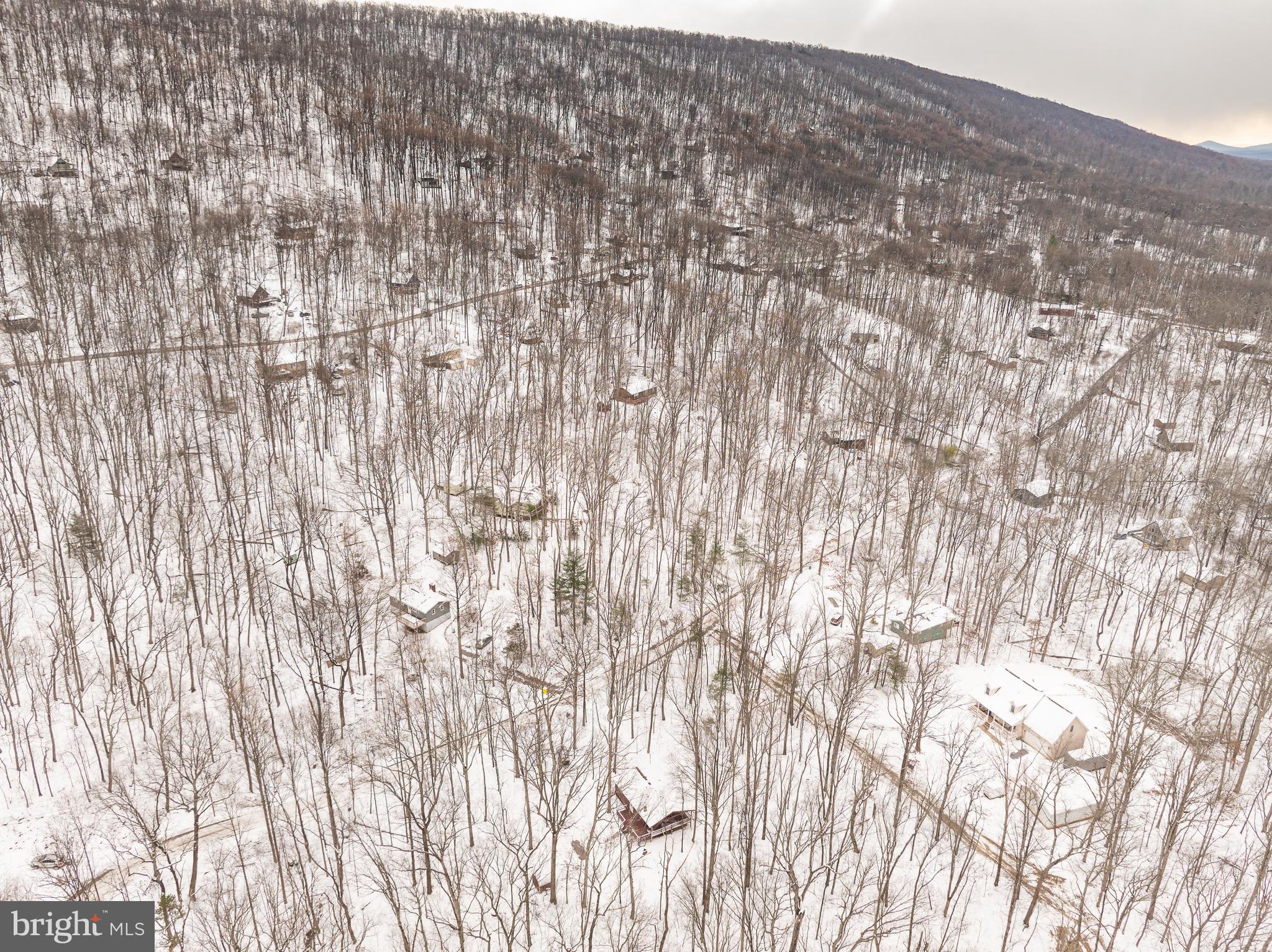 GLENWOOD FOREST - Residential