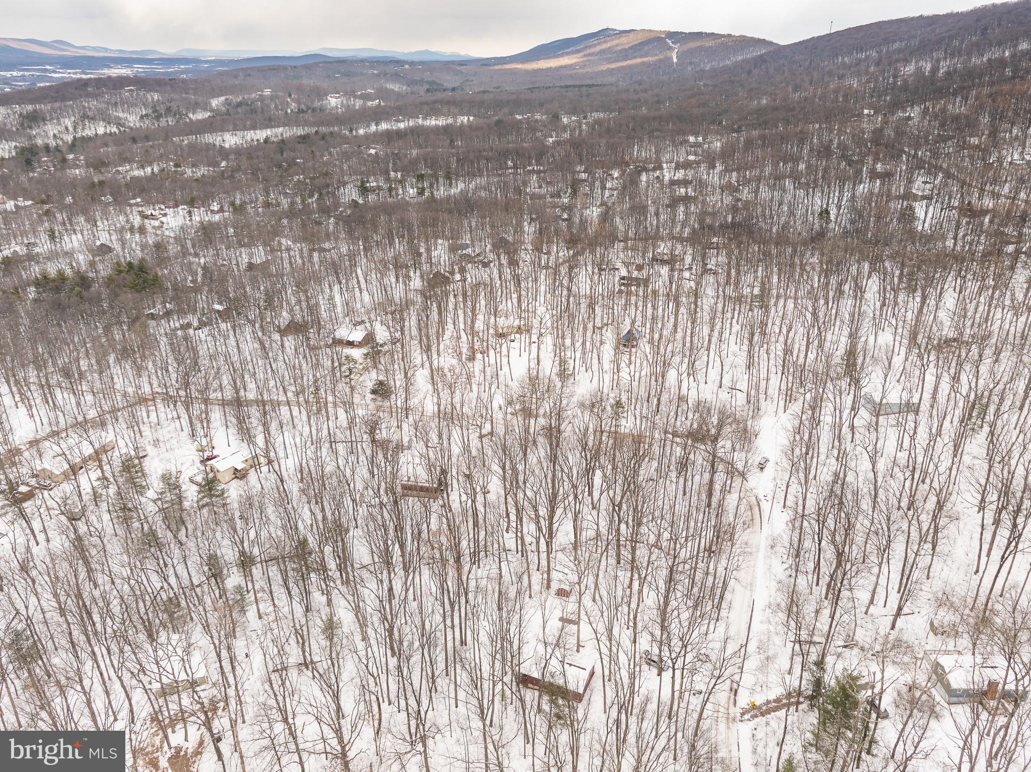 GLENWOOD FOREST - Residential