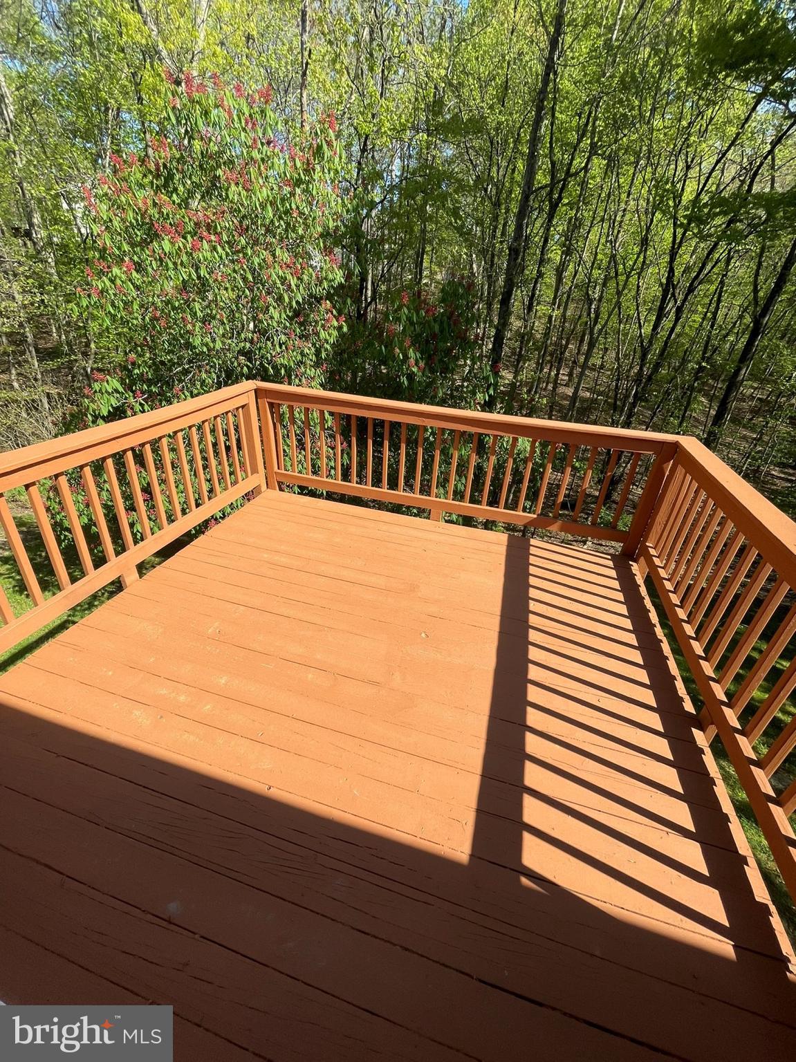 CLINTON WOODS - Residential