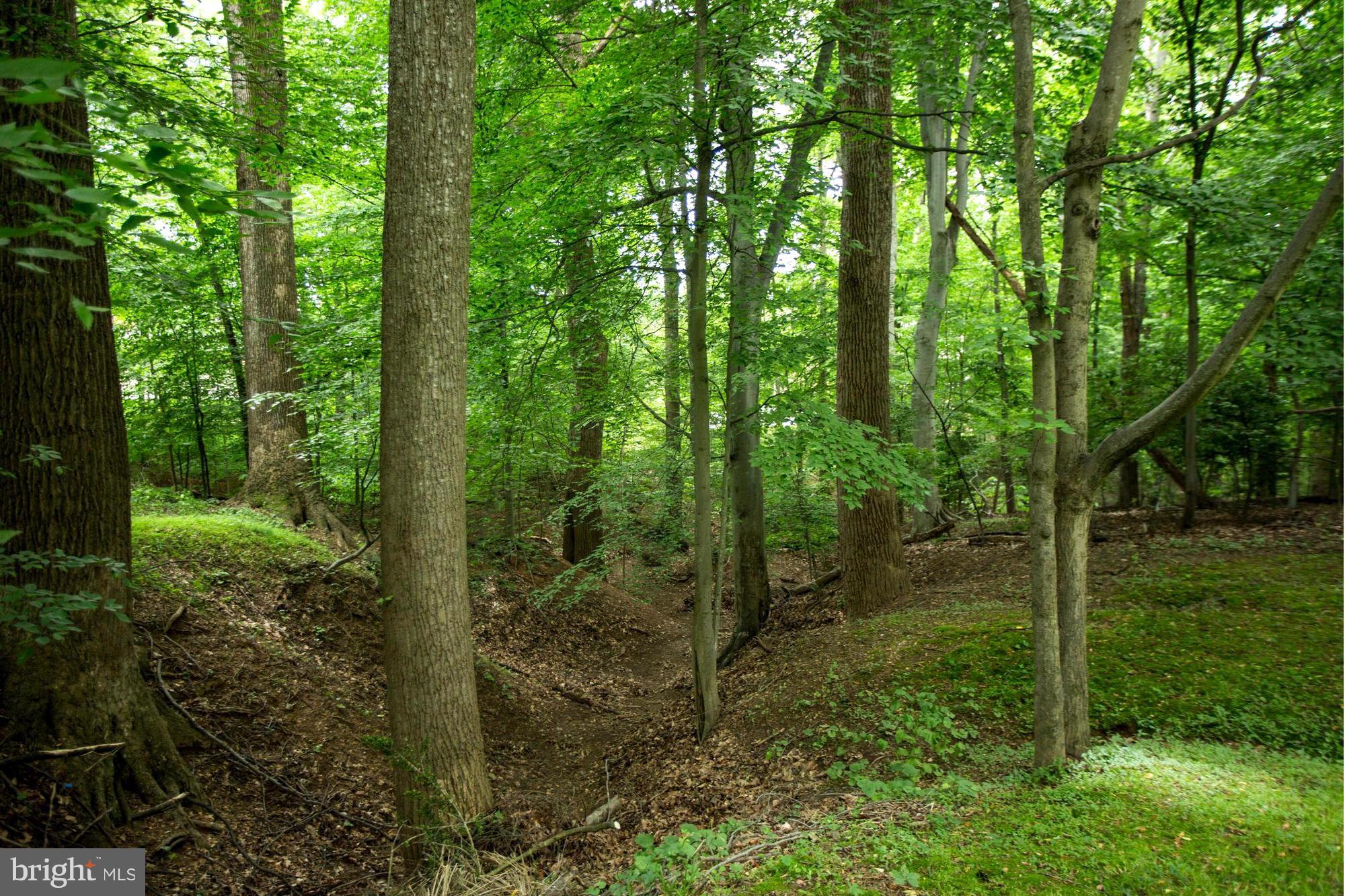 FAWSETT FARMS MANOR - Residential