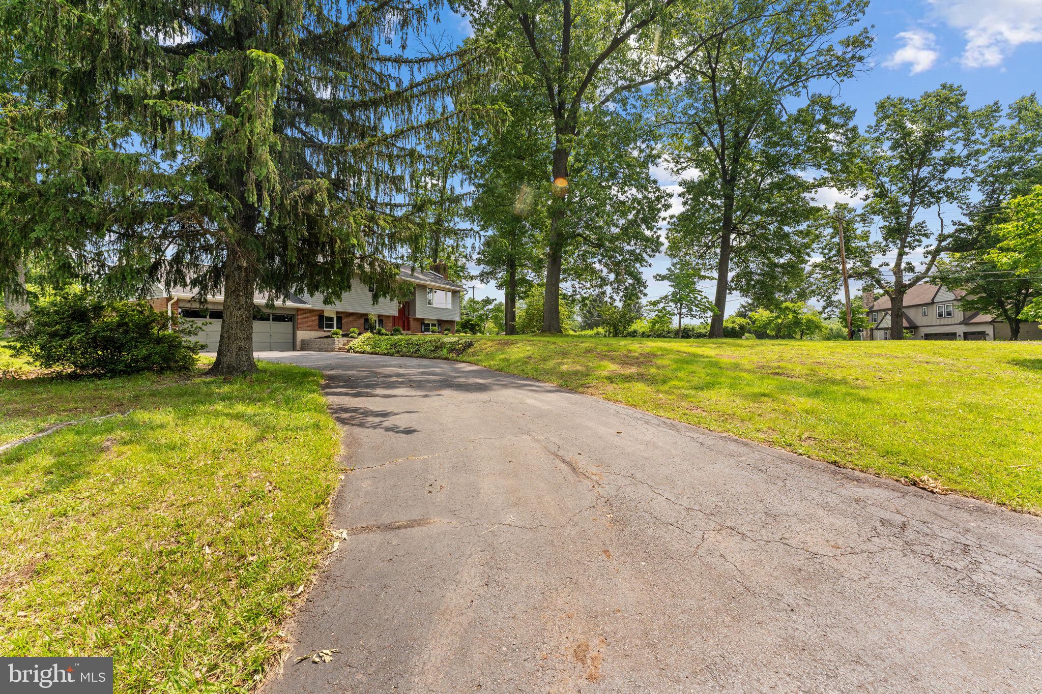 561 ELLIS WOODS ROAD