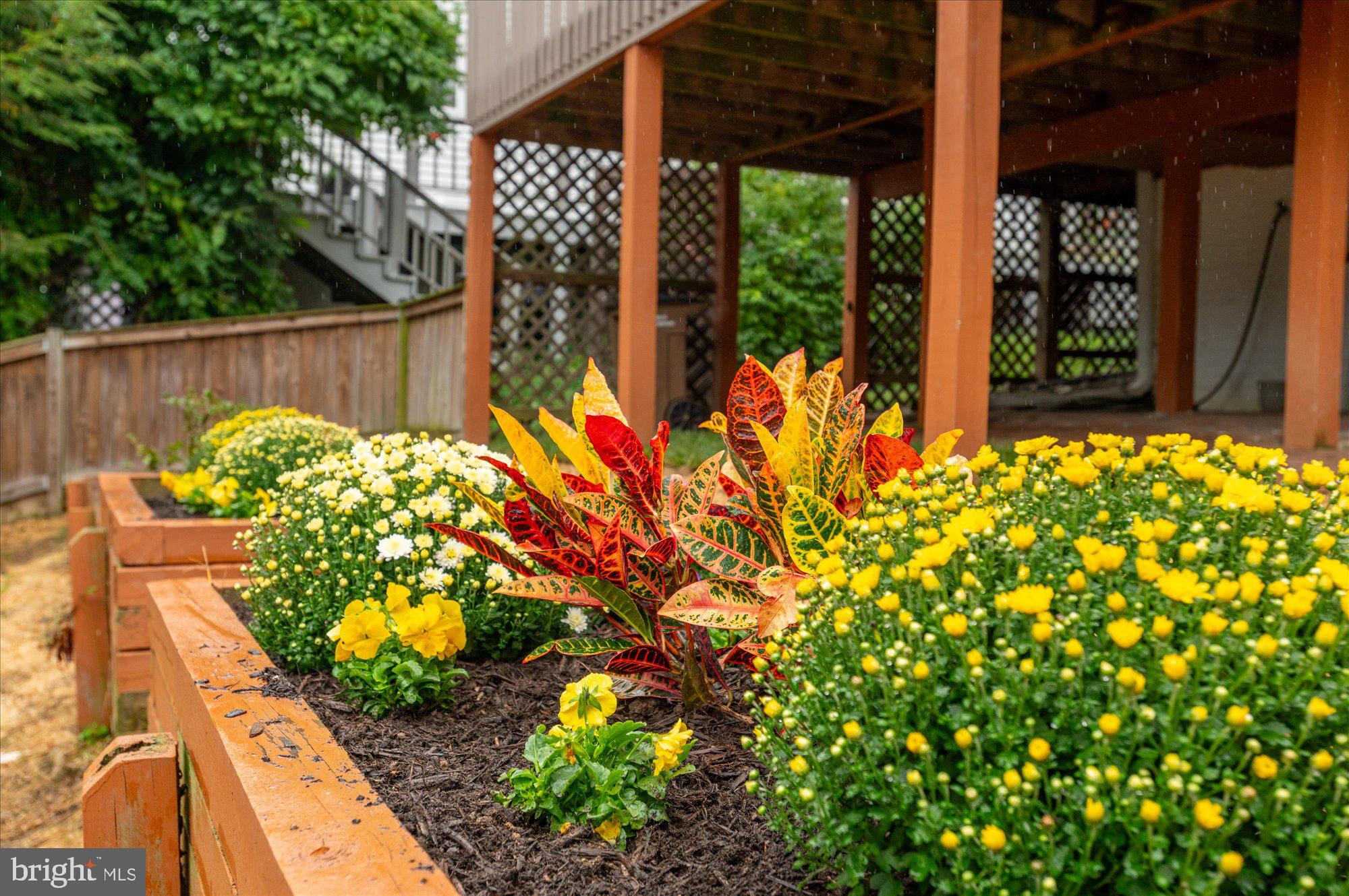 MARTINS ADDITION - Residential