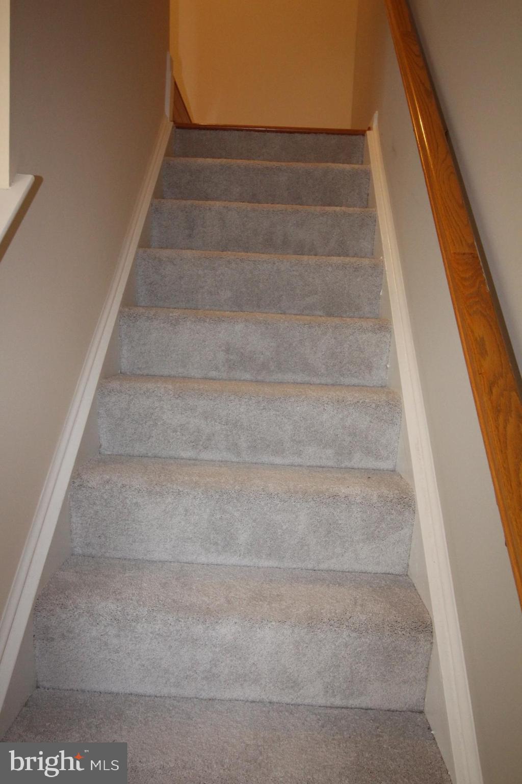 PARADISE - Residential