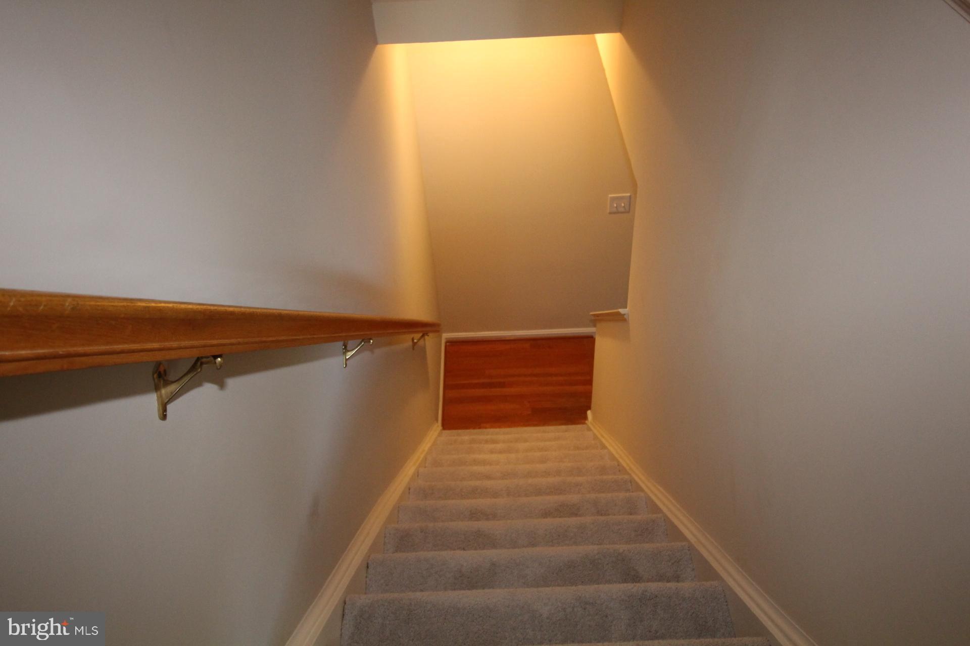 PARADISE - Residential