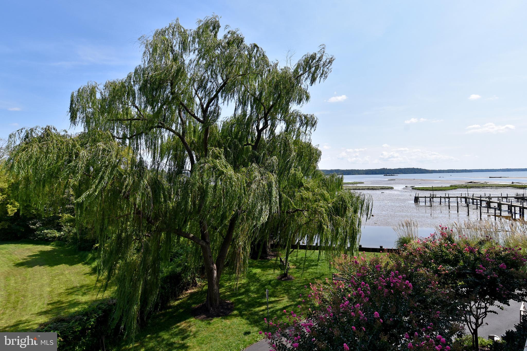 PORTO VECCHIO - Residential Lease