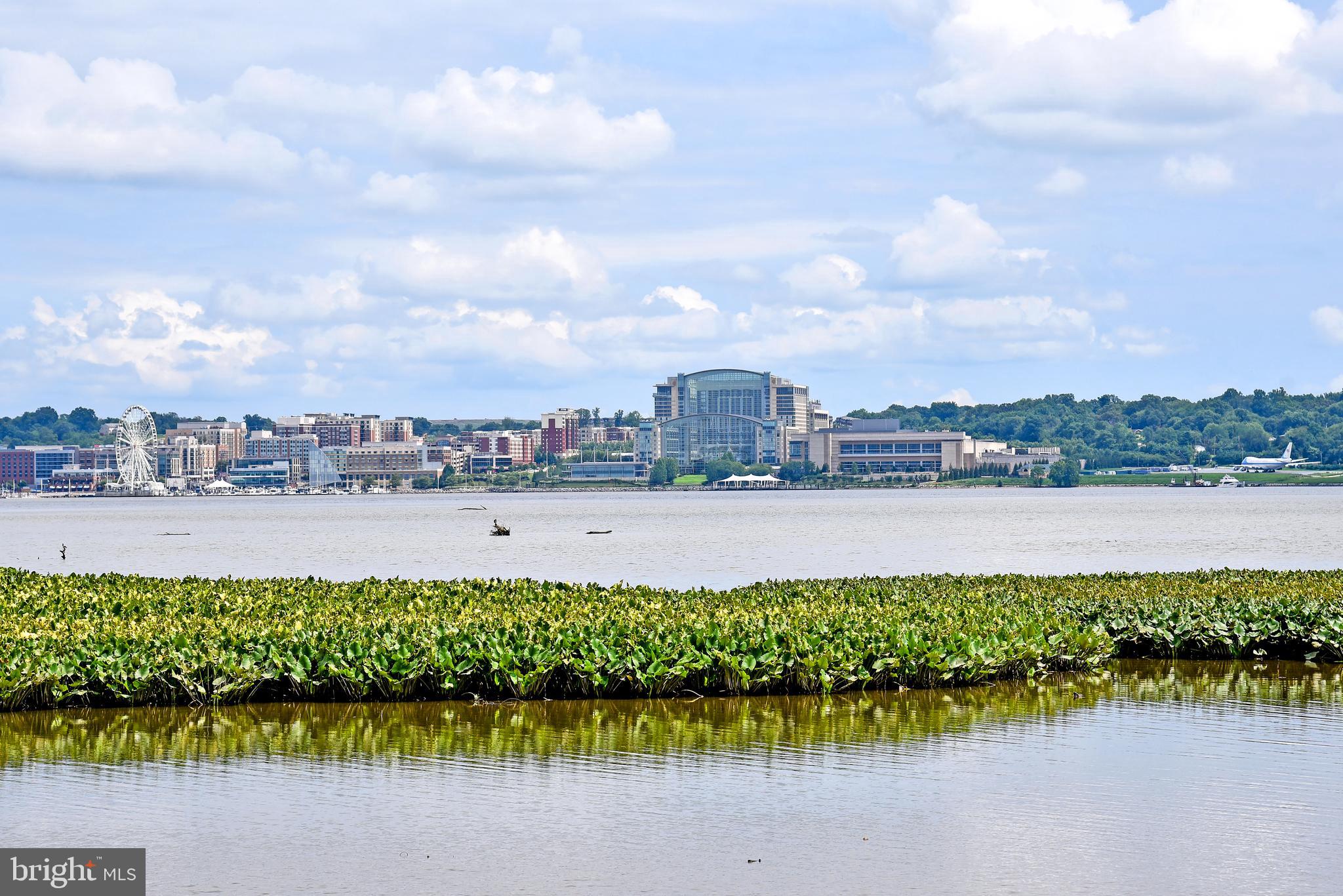 PORTO VECCHIO - Residential Lease