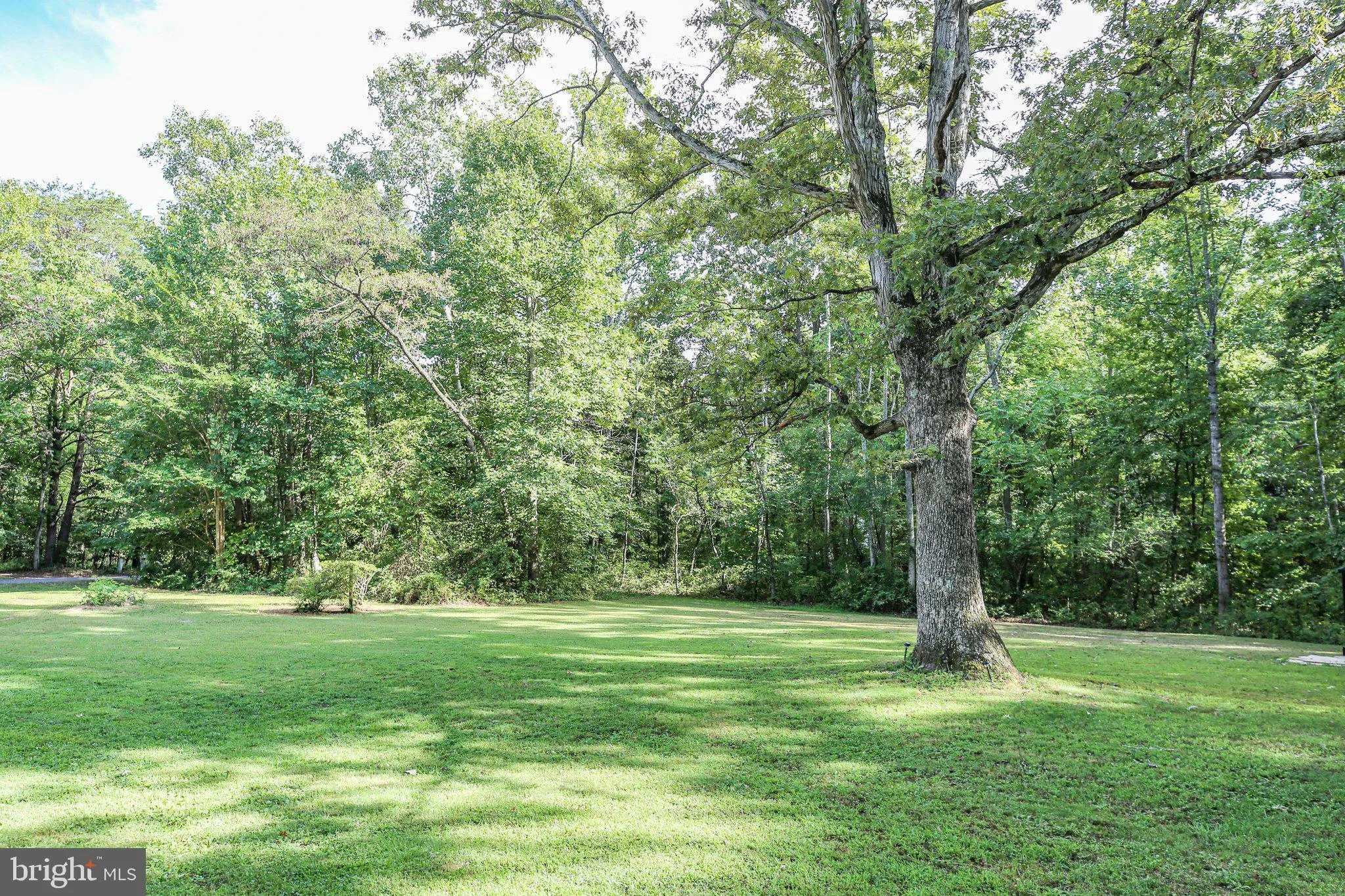 Unionville, Virginia 22567, United States, 3 Bedrooms Bedrooms, ,1 BathroomBathrooms,Residential,Active,23229