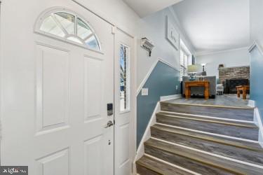 BOX HILL NORTH - Residential