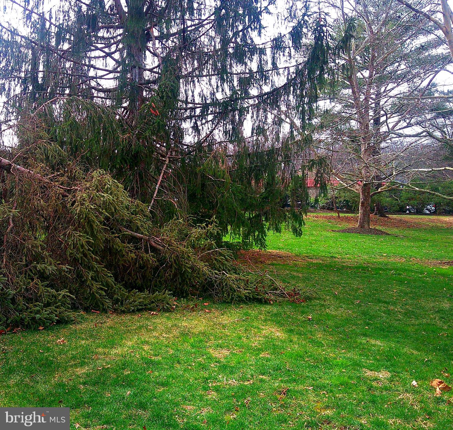 NEWTOWN GATE - Residential