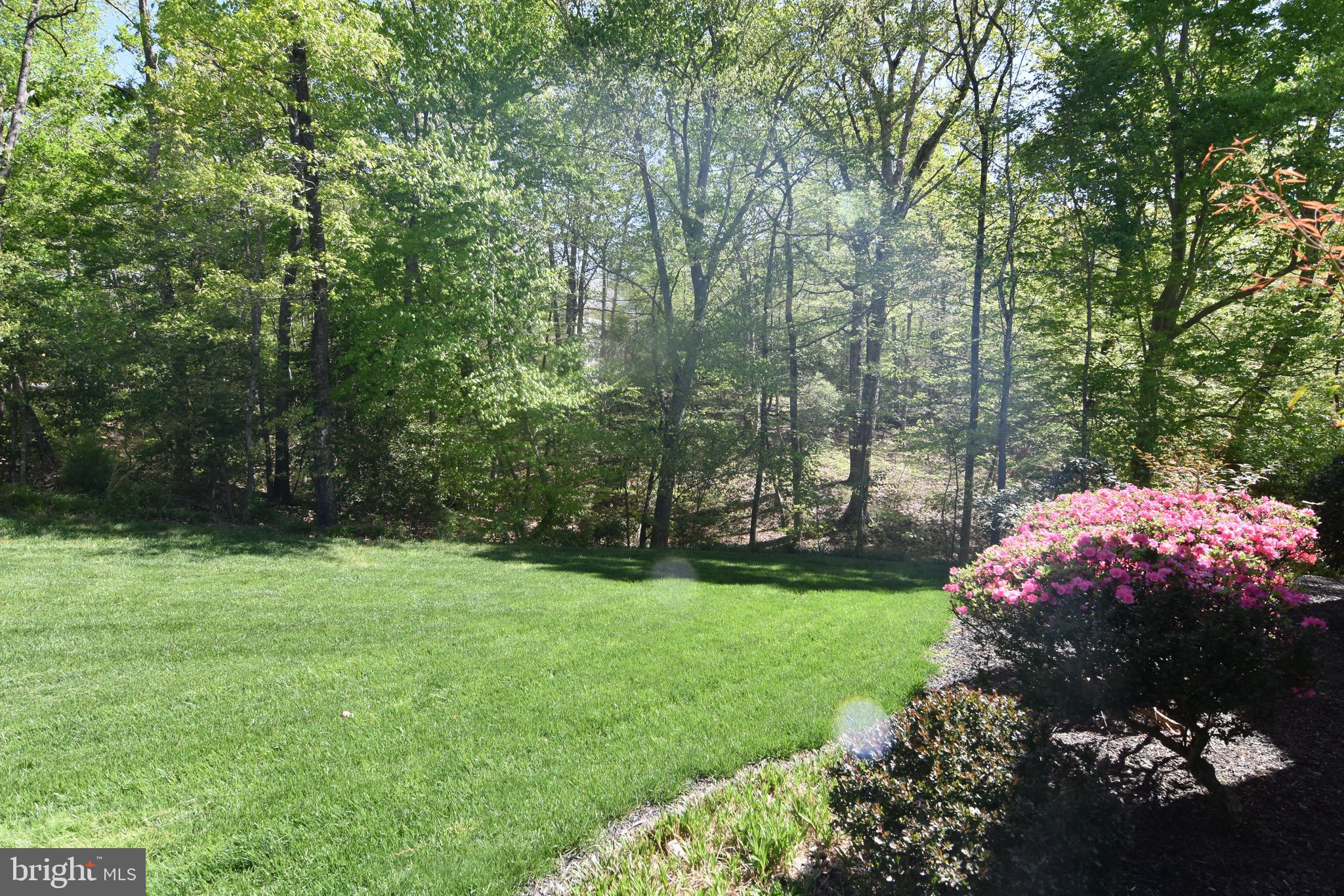 AVENMAR - Residential