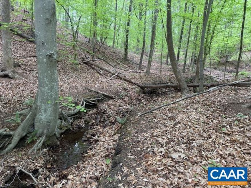 Great 9.90 acres located on the scenic Spotswood Trail (Route 33) in the desirable Eheart?s Corner area of Barboursville, Virginia, in Orange County. This gently rolling, wooded parcel will an exceptional setting for a private homesite. Zoned agricultural, the property offers both flexibility and tranquility, an ideal property to build your dream home in a peaceful, natural environment.  Enjoy the perfect balance of seclusion and convenience. Located just minutes from Route 29, the property provides easy access to Charlottesville, Gordonsville, Orange, Ruckersville and the Charlottesville-Albemarle Airport, along with a wide range of shopping, dining, wineries, breweries, and everyday amenities.  This location also benefits from proximity to one of Central Virginia?s strongest economic hubs. University of Virginia, UVA Health, Sentara Healthcare, National Ground Intelligence Center, and Defense Intelligence Agency all contribute to sustained regional growth.  Whether you?re looking to build a private retreat or secure land in a high-demand area, Lot 5 presents a rare opportunity to own a beautiful piece of Virginia countryside.
