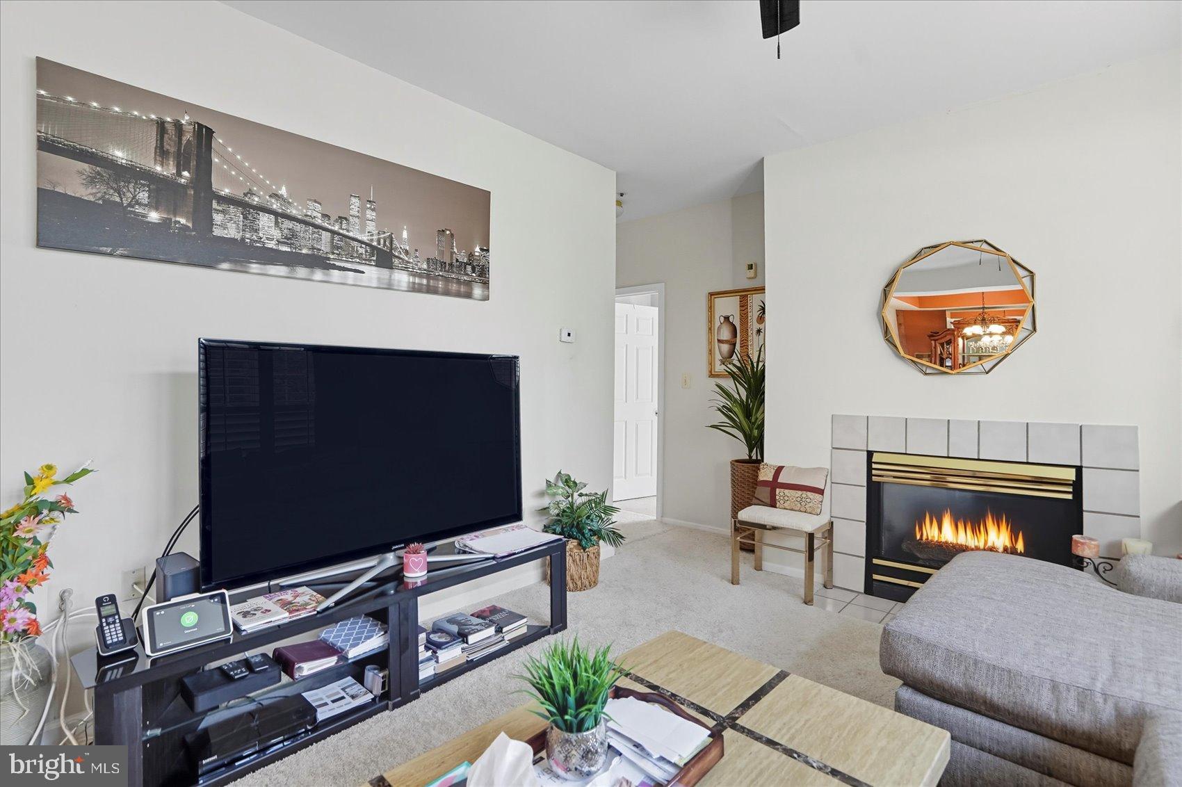 SPRING MILL CONDOMINIUM - Residential