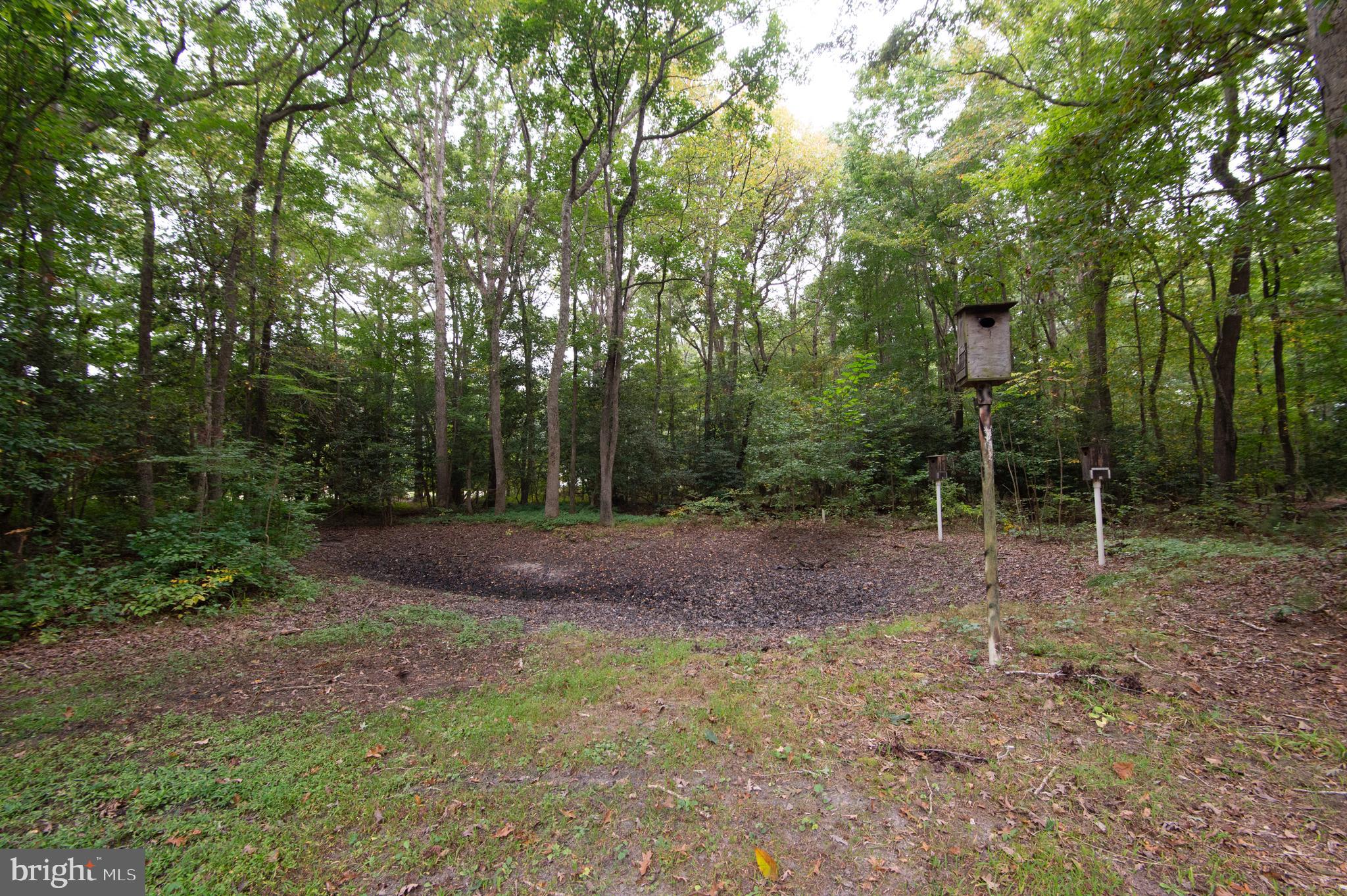 CHOPTANK COVE ESTATES - Residential