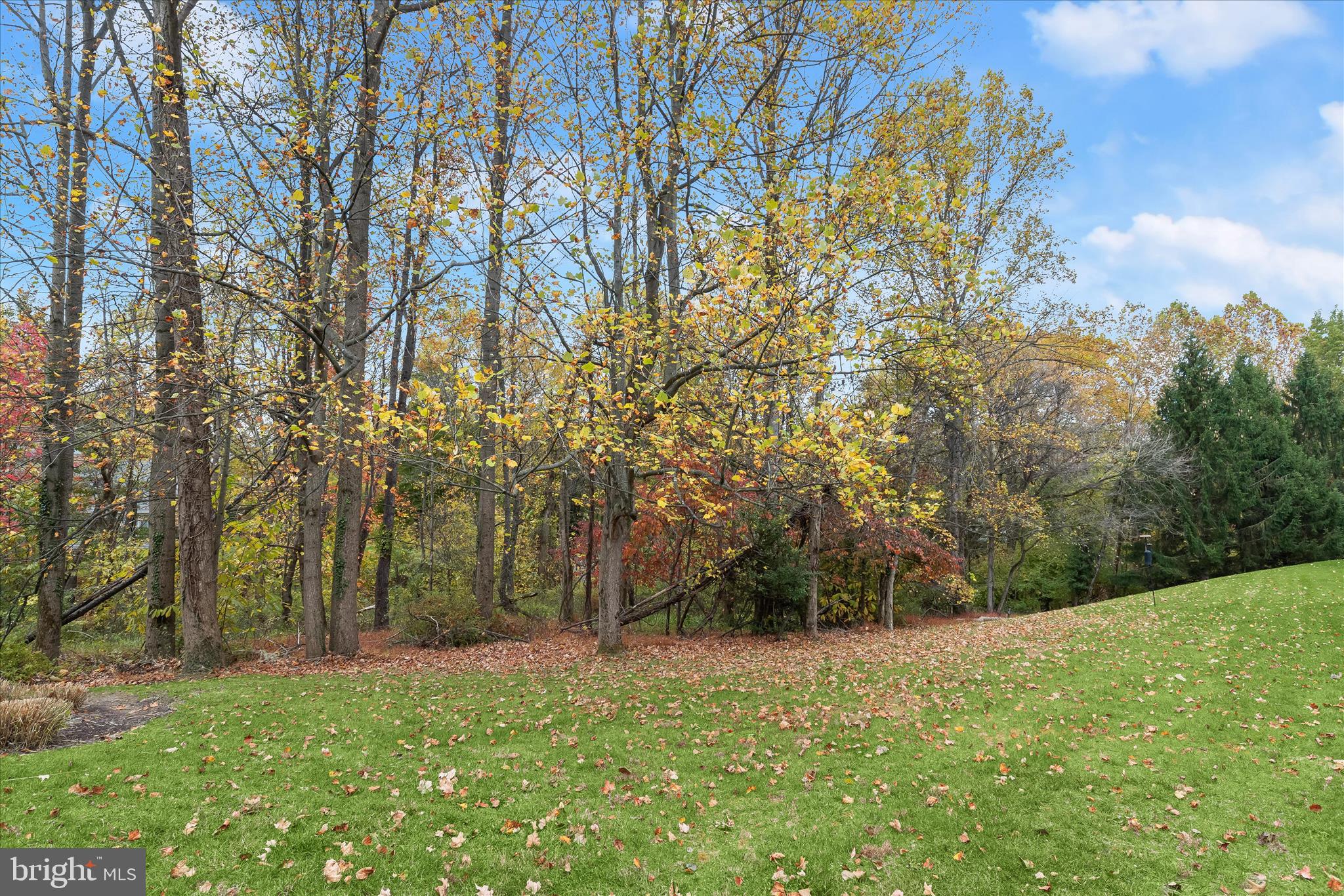 FOXHALL FARM - Residential