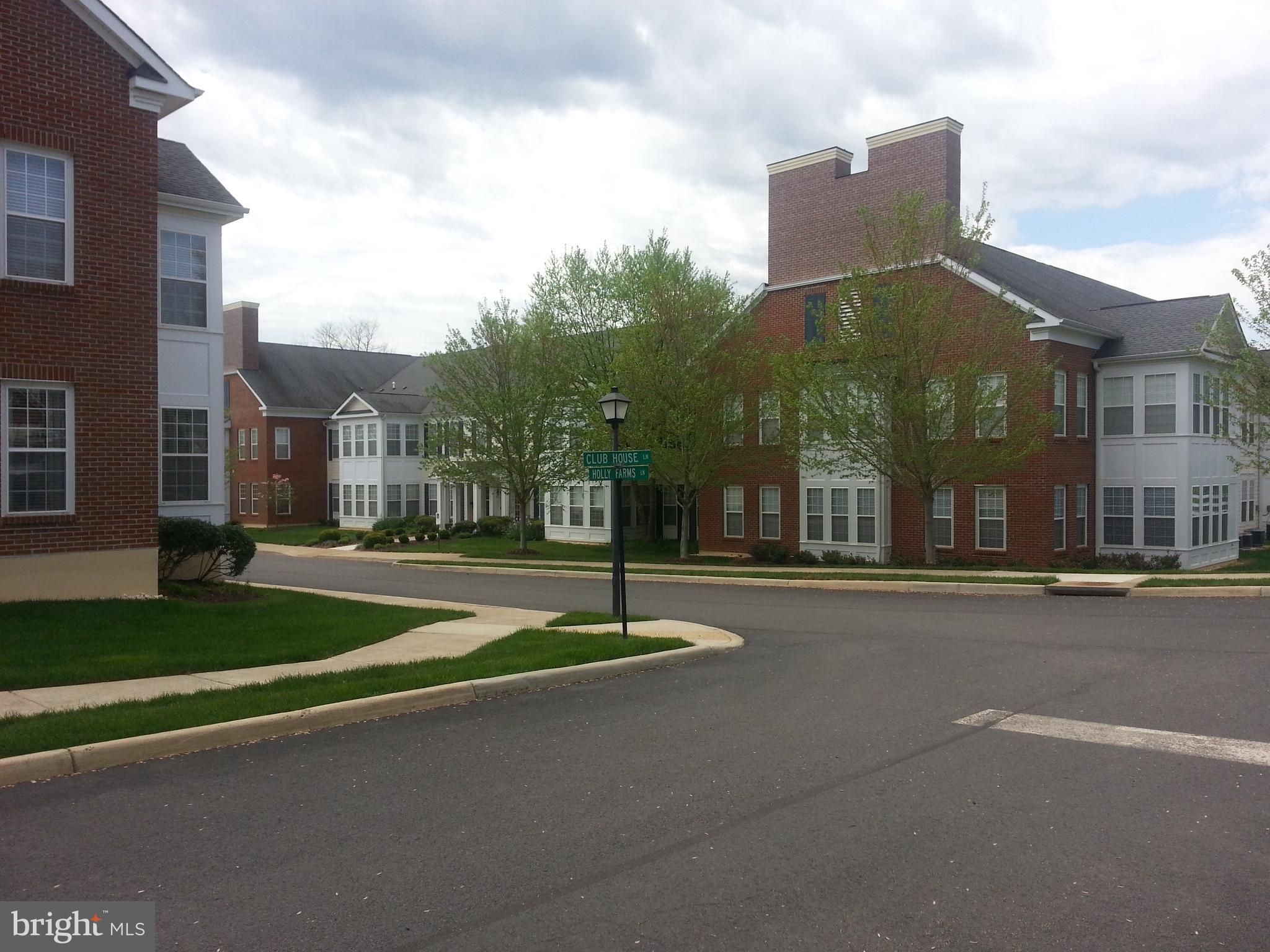 SUFFIELD MEADOWS - Residential