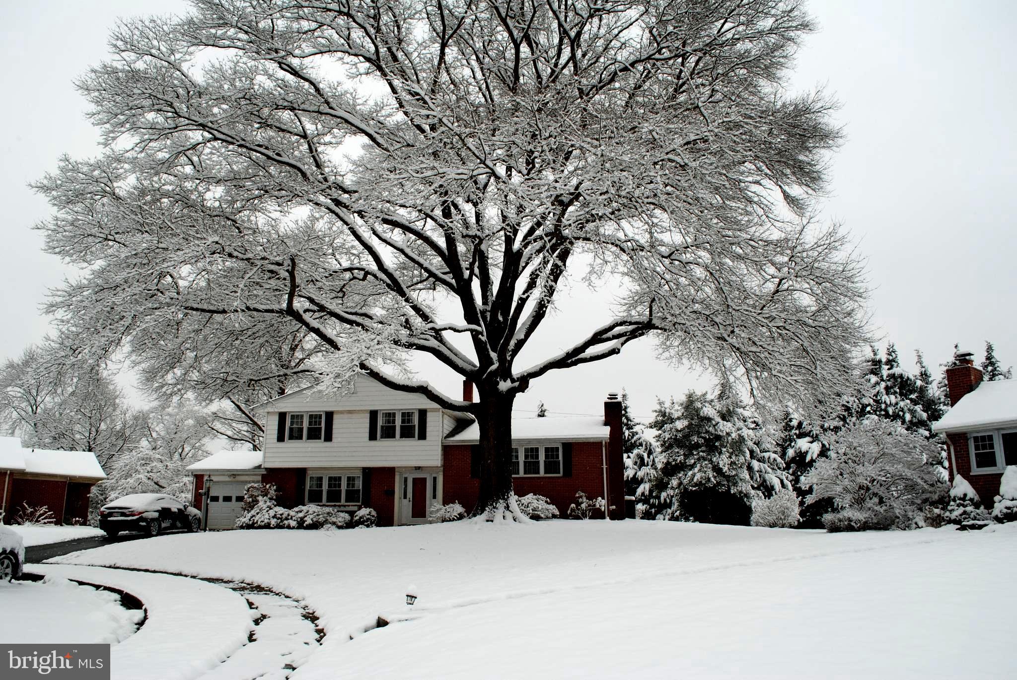 FOUNTAIN HILL - Residential