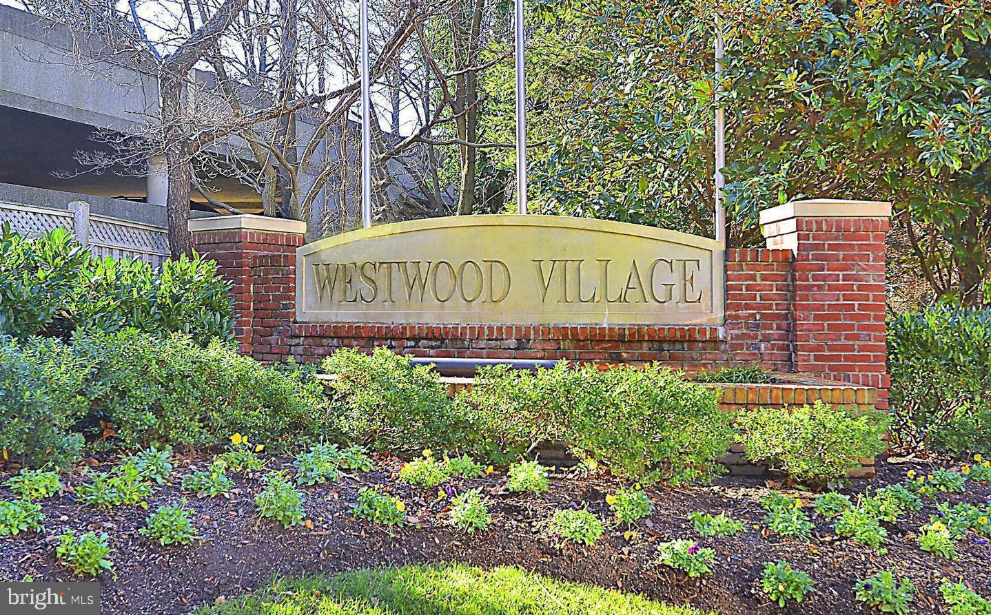 TYSONS VILLAGE - Residential